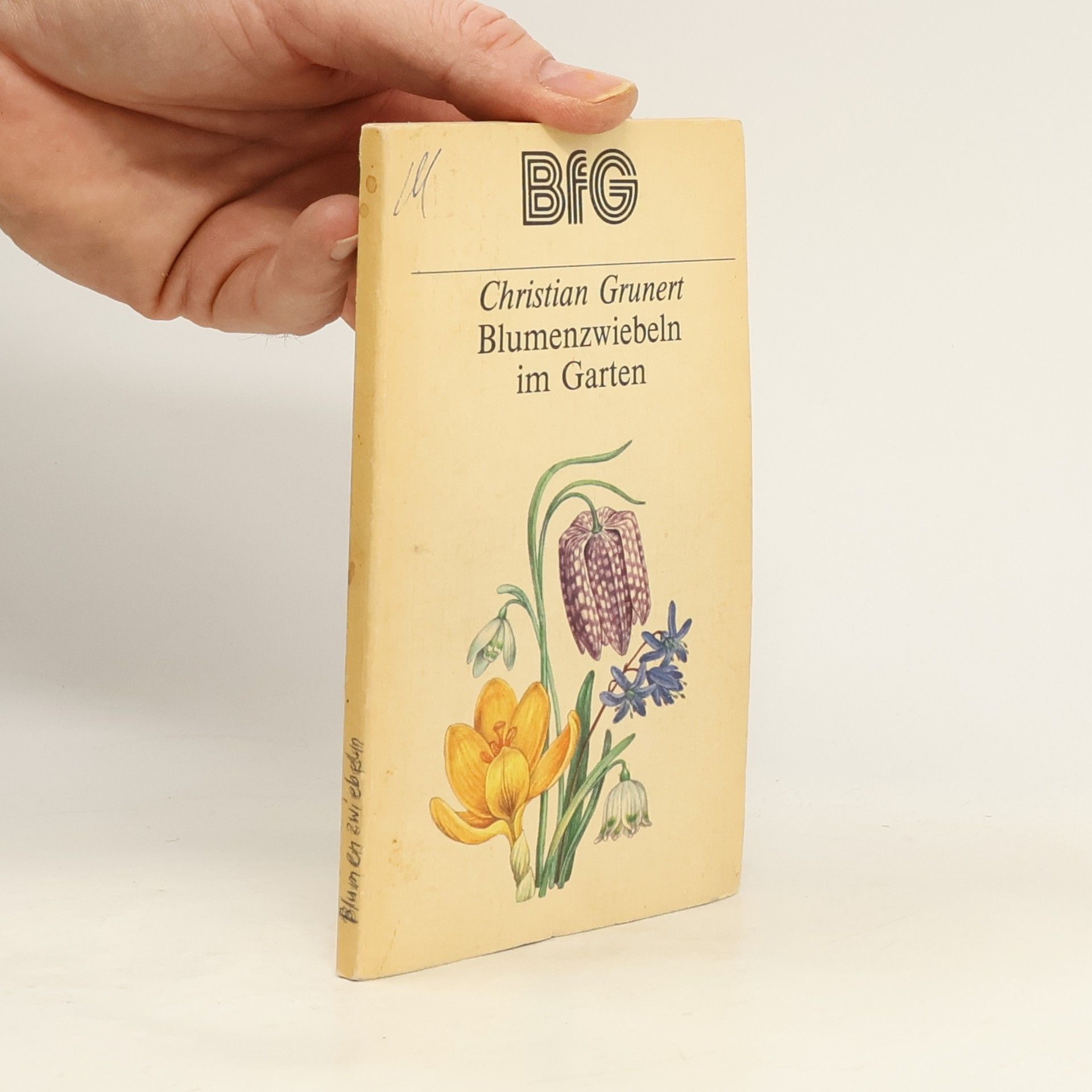 Christian Grunert Blumenzwiebeln im Garten