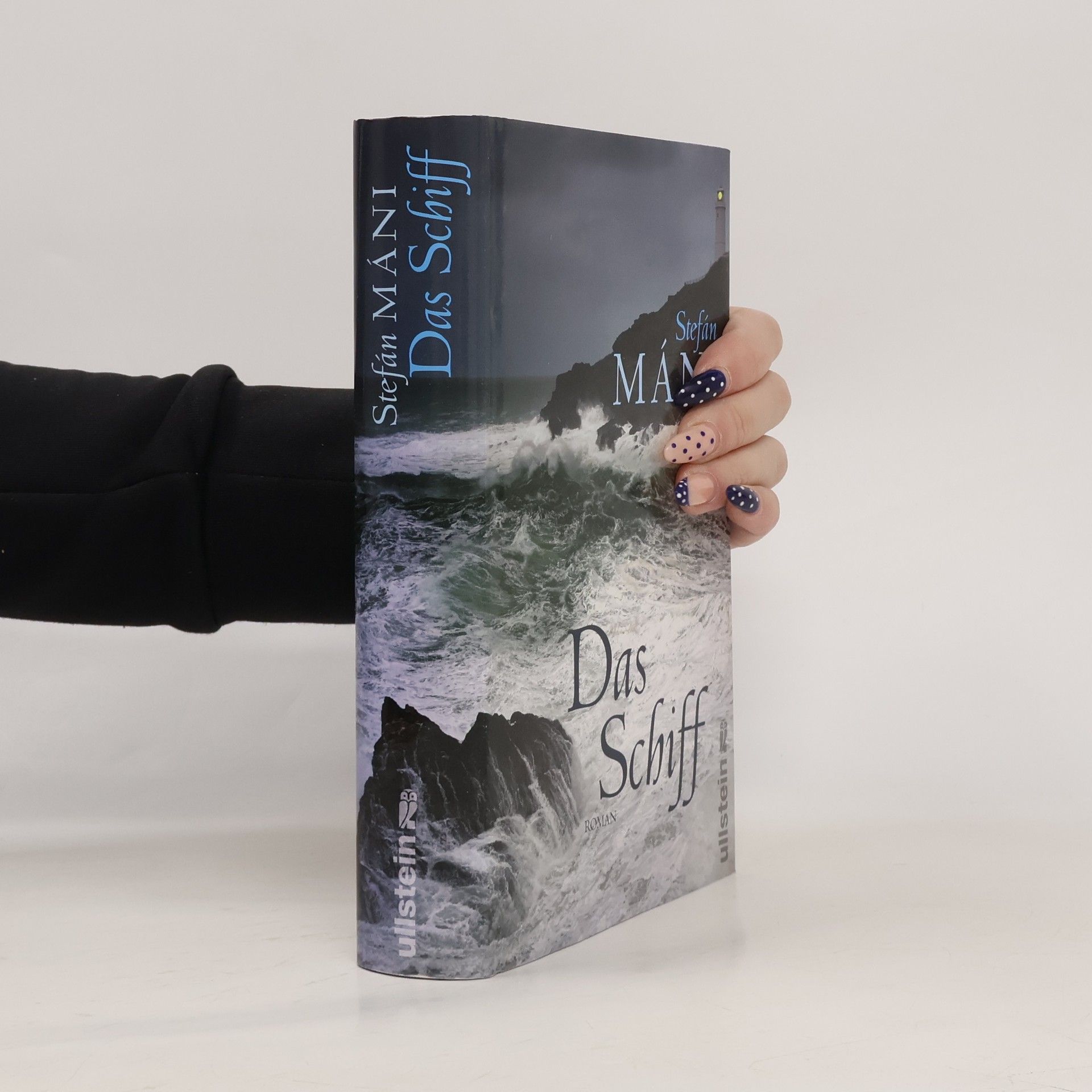 Stefán Máni Das Schiff