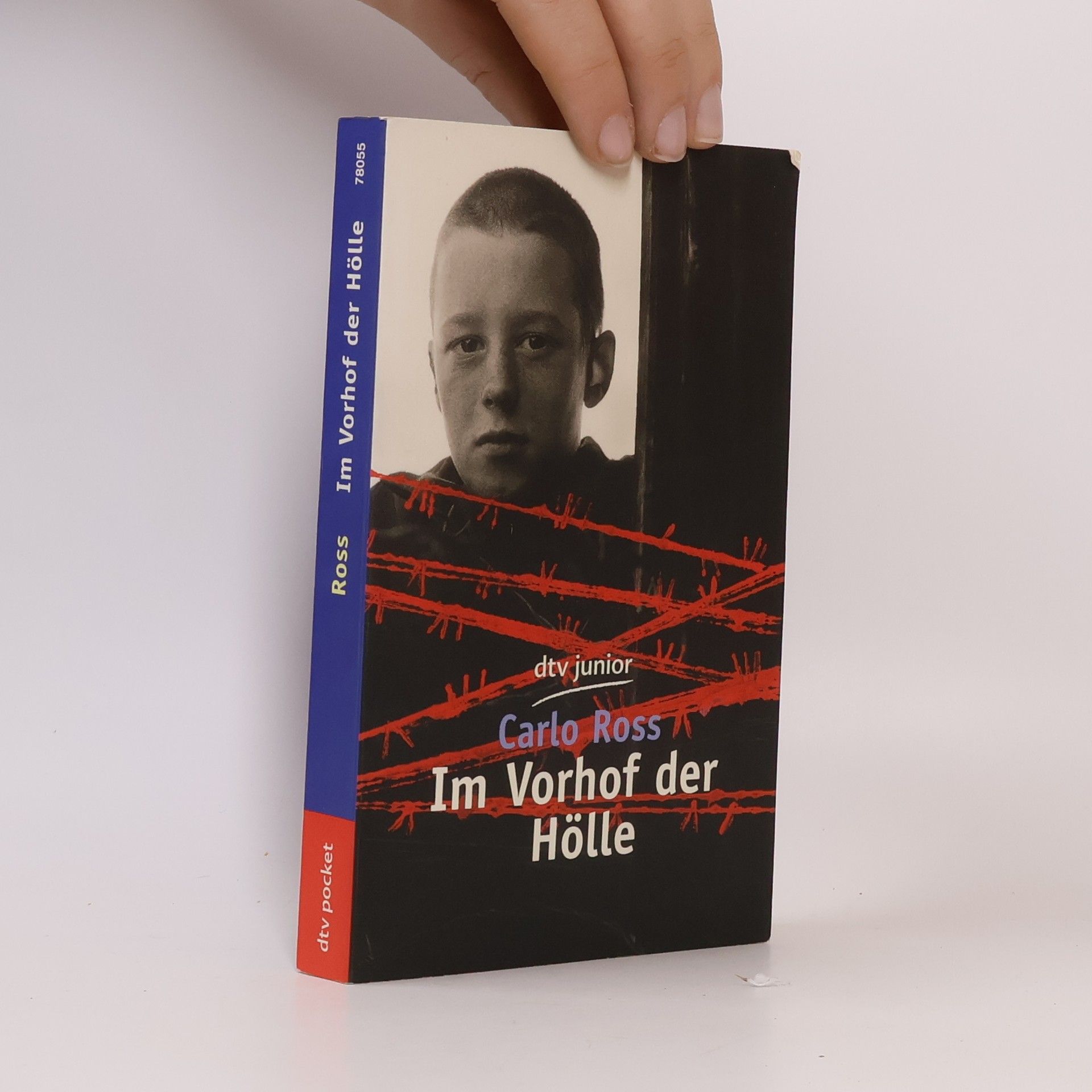 Carlo Ross Im Vorhof der Hölle