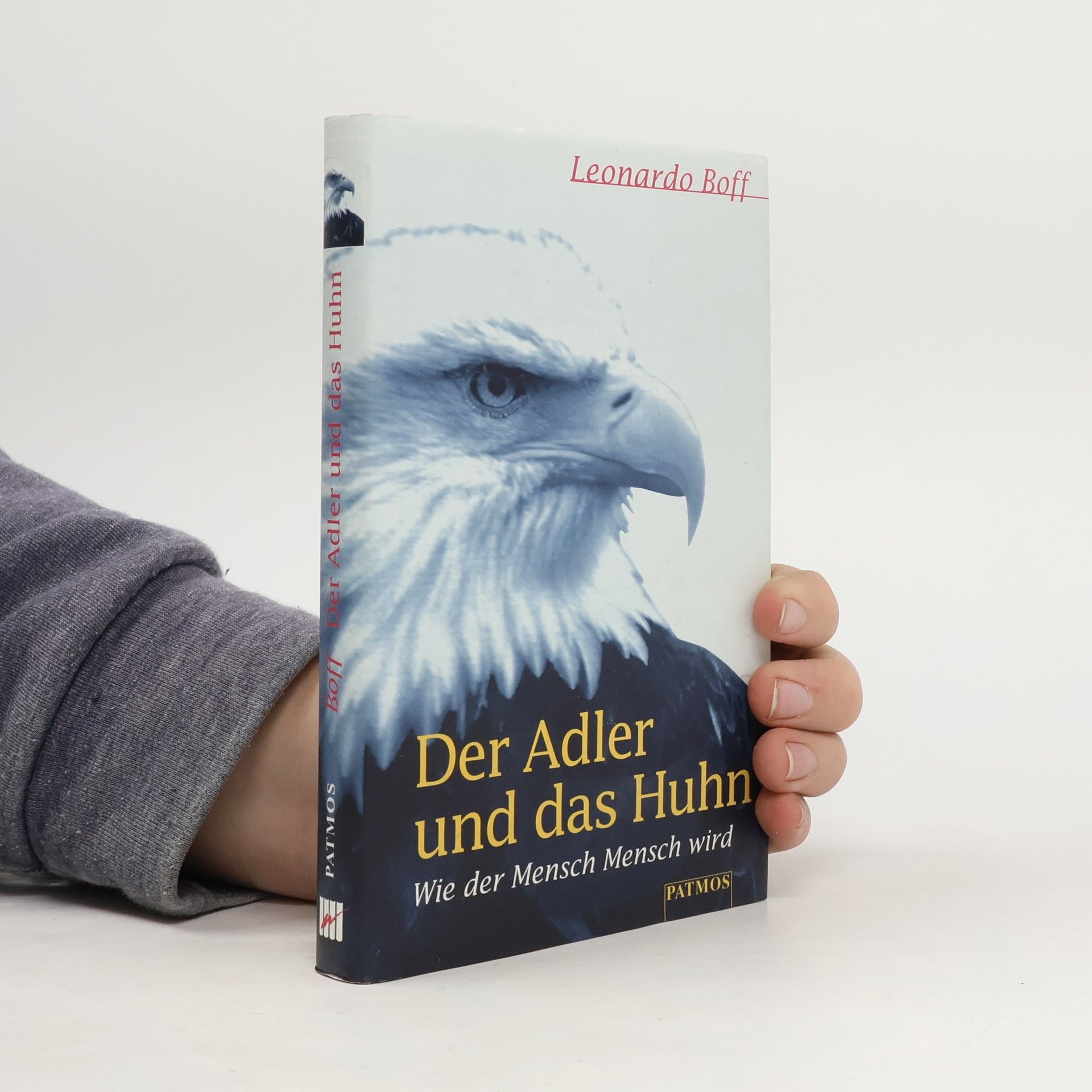Leonardo Boff Der Adler und das Huhn
