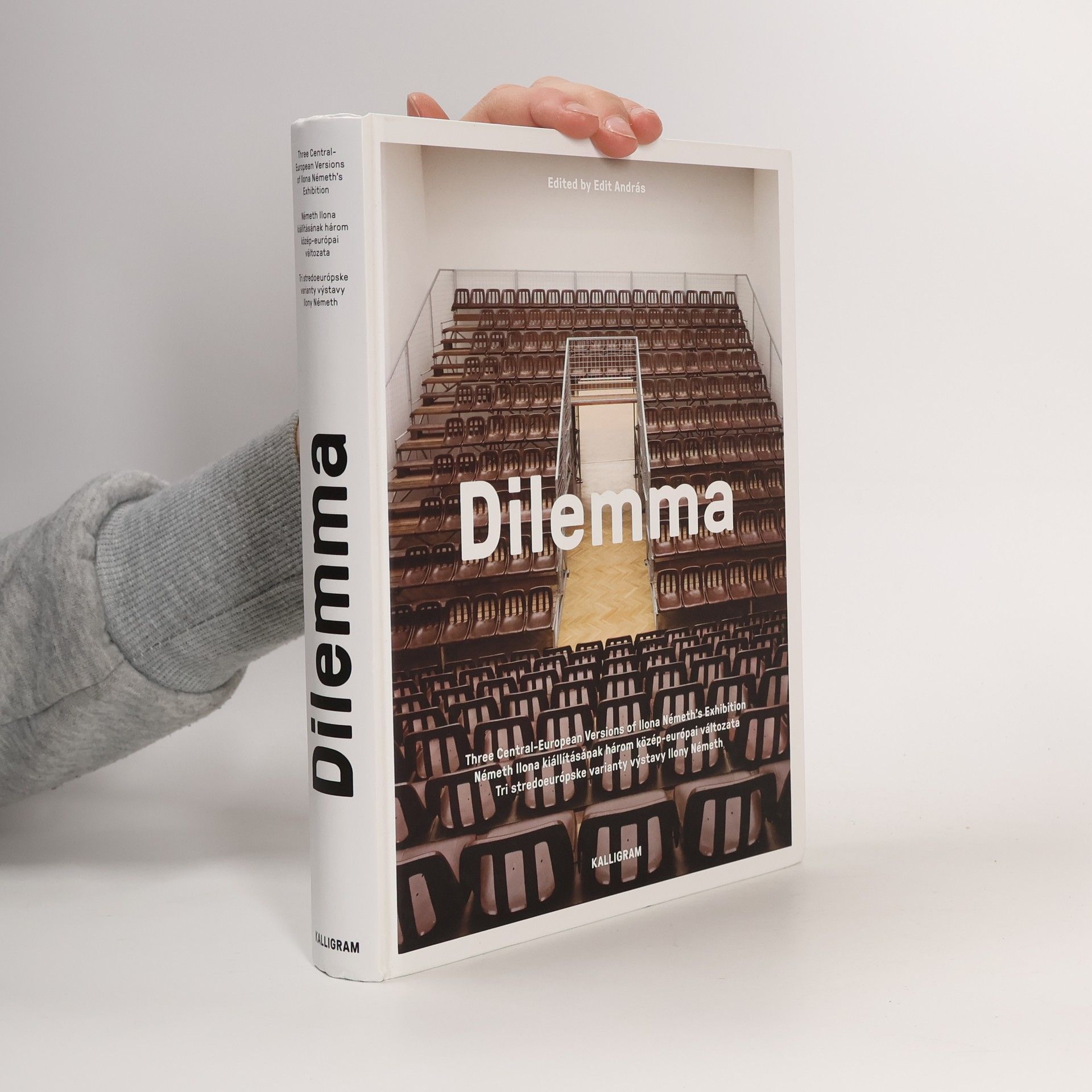 Dilemma. Tri stredoeurópske varianty výstavy Ilony Németh