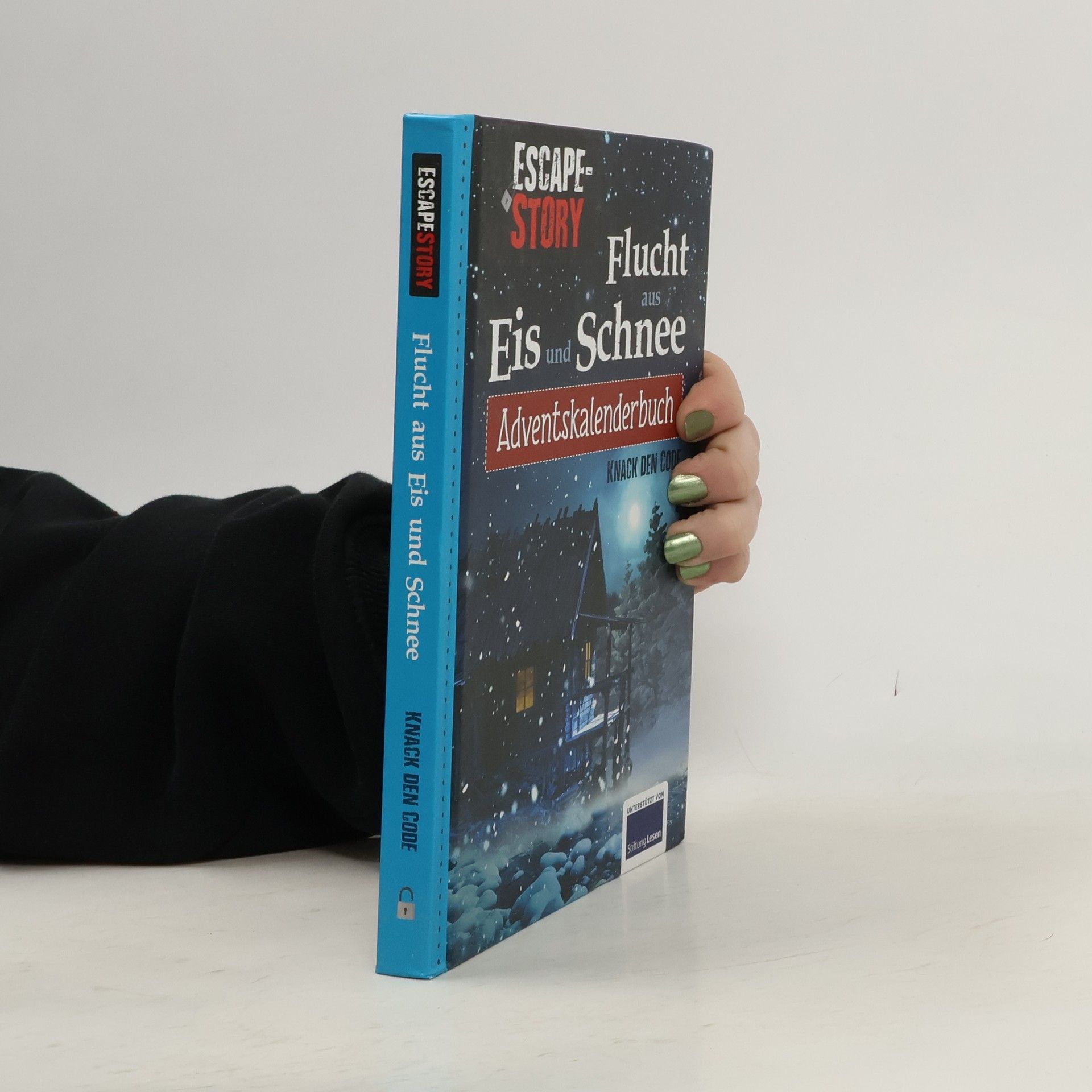 Various authors Adventskalenderbuch Escape Story Flucht aus Eis und Schnee