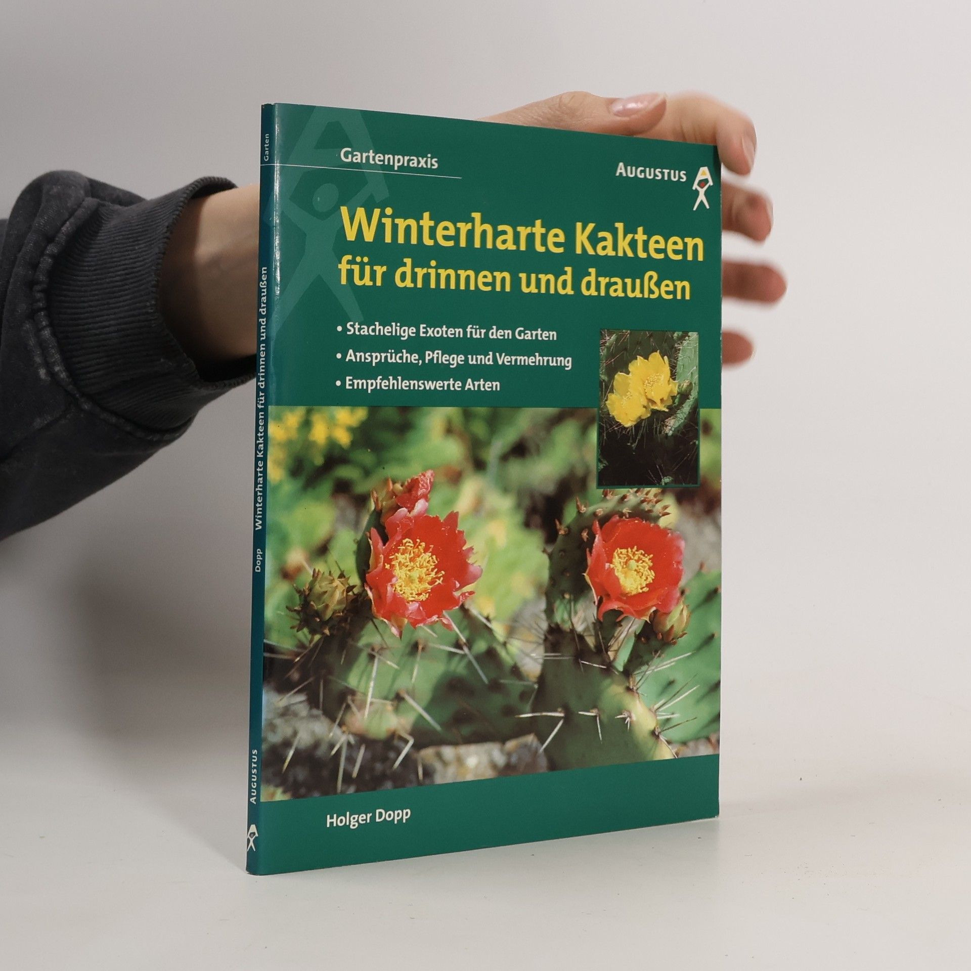 Winterharte Kakteen für drinnen und draußen