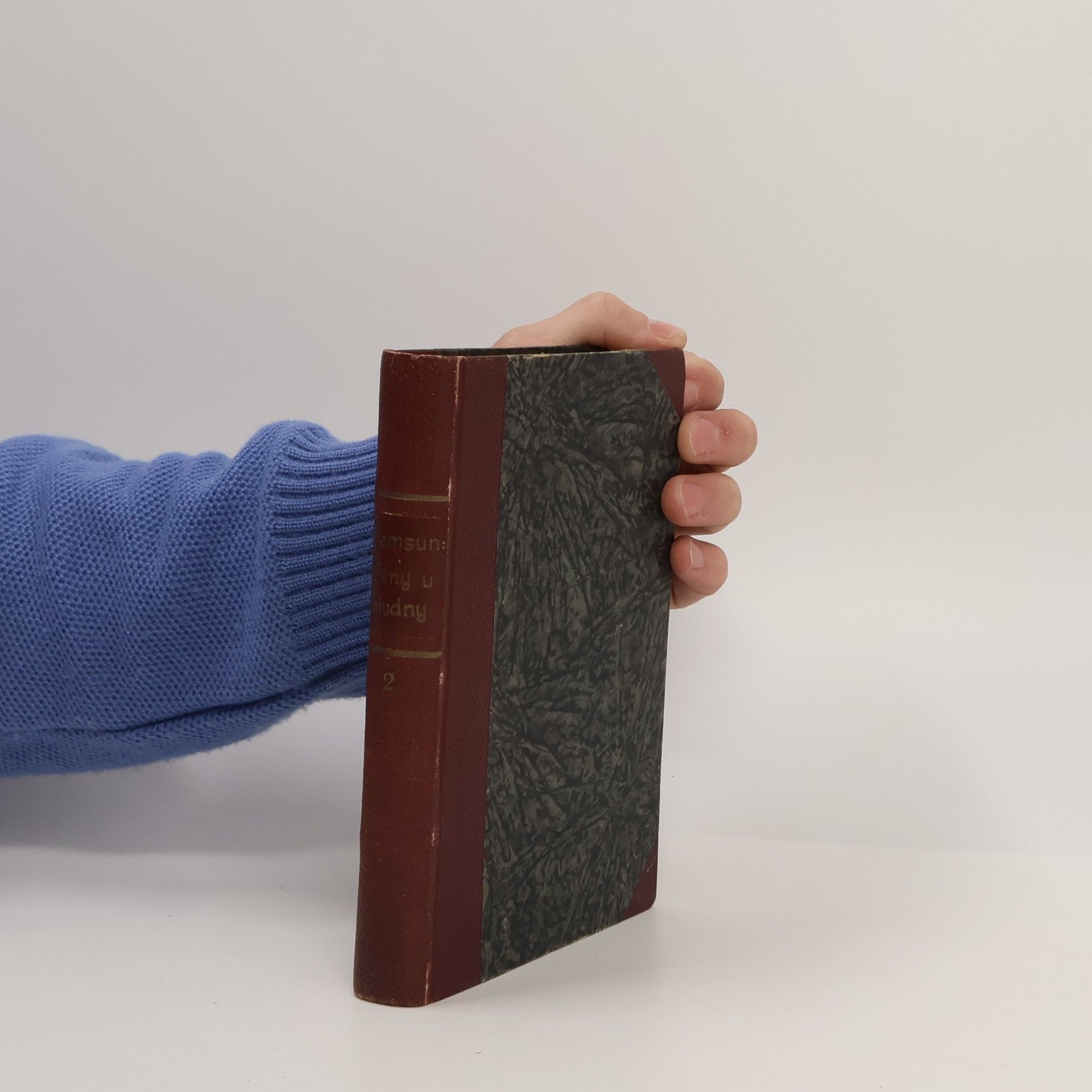 Knut Hamsun Ženy u studny 2