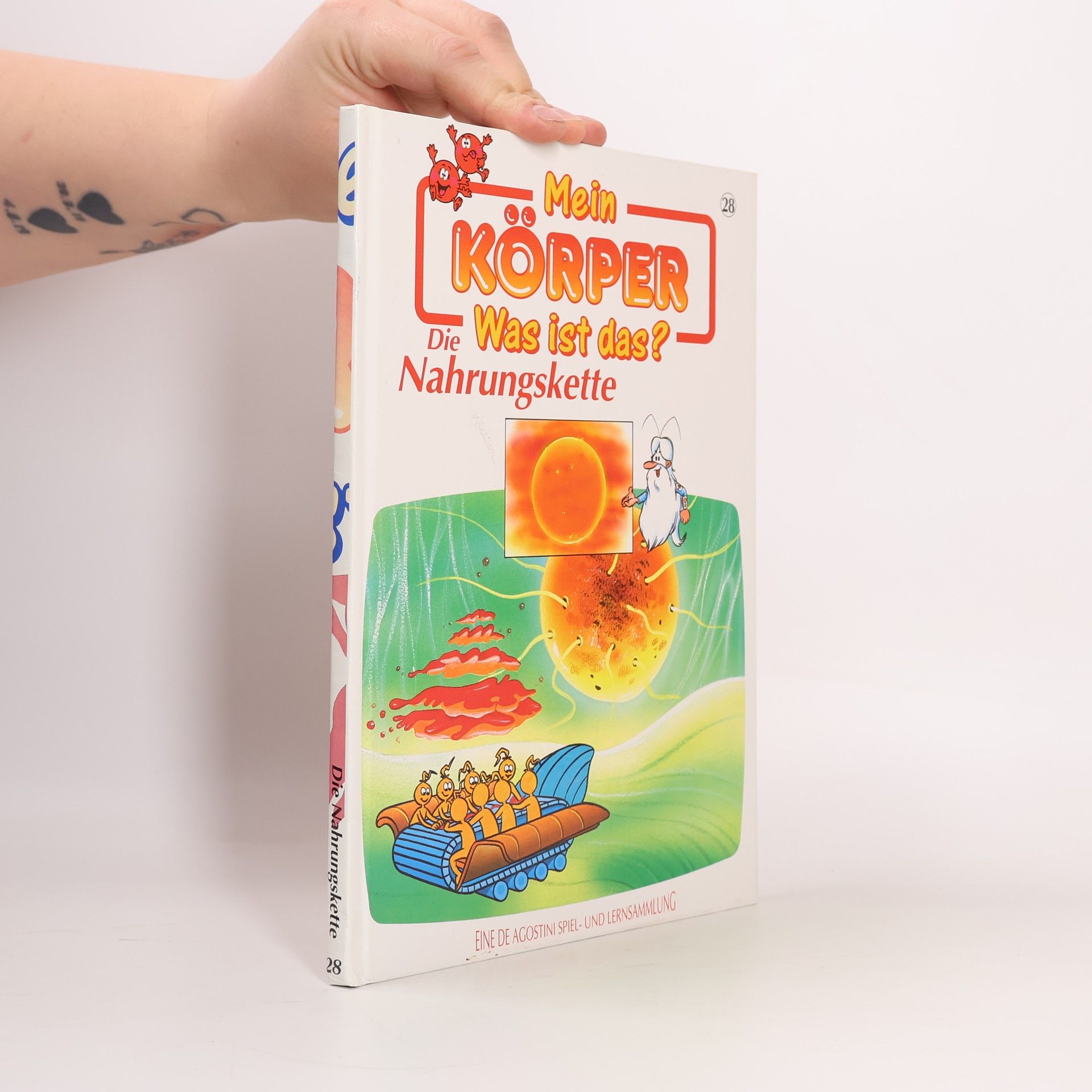 Autores varios Mein Körper. Was ist das? Die Nahrungskette