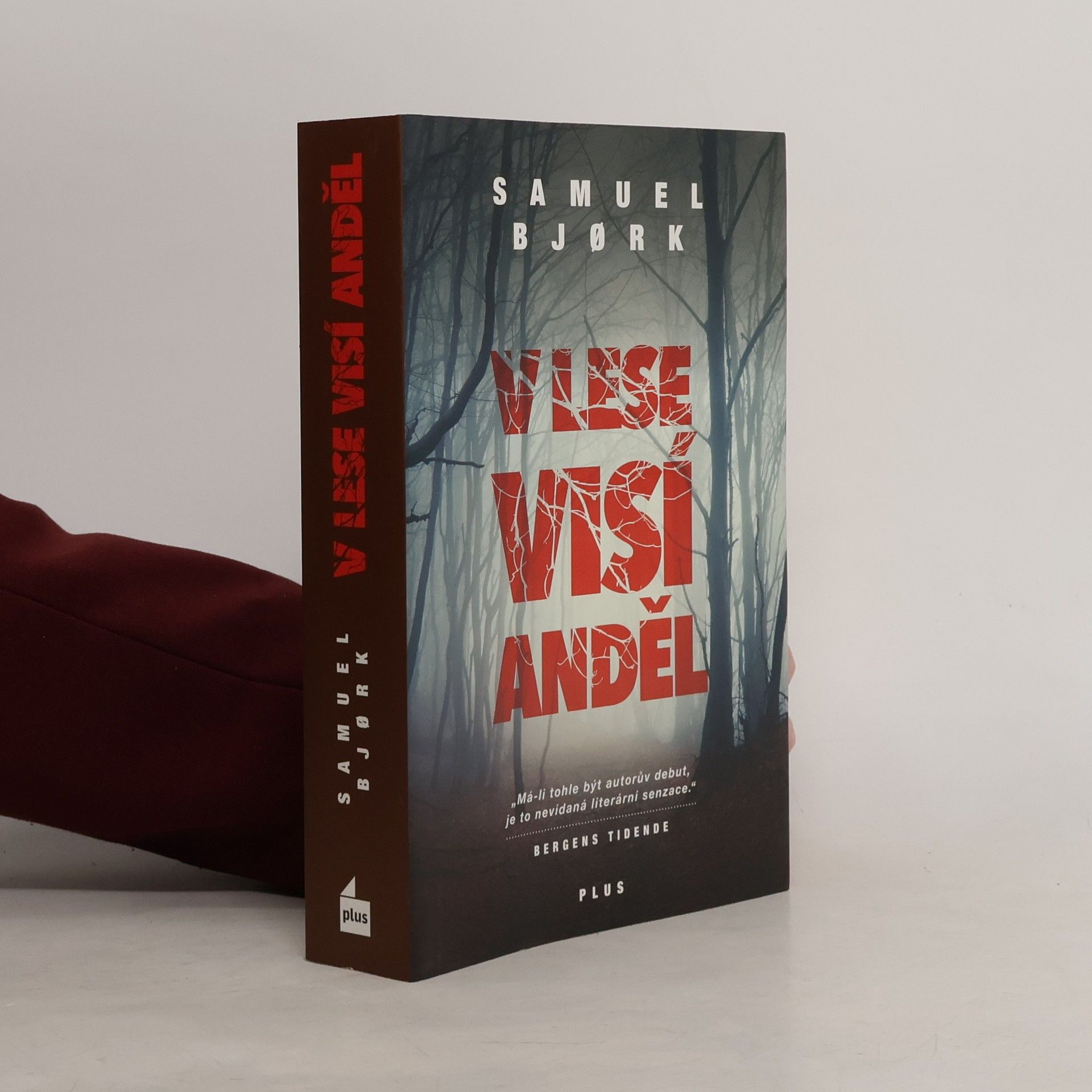 Samuel Bjork V lese visí anděl