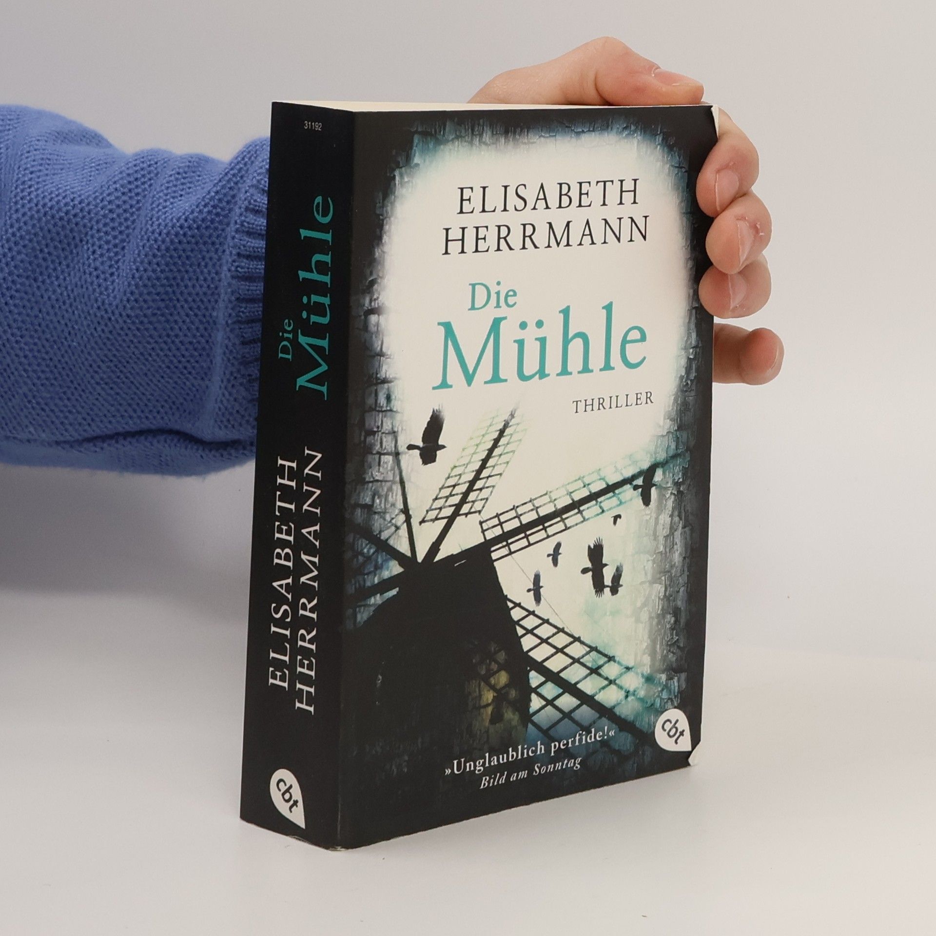 Elisabeth Hermann Die Mühle