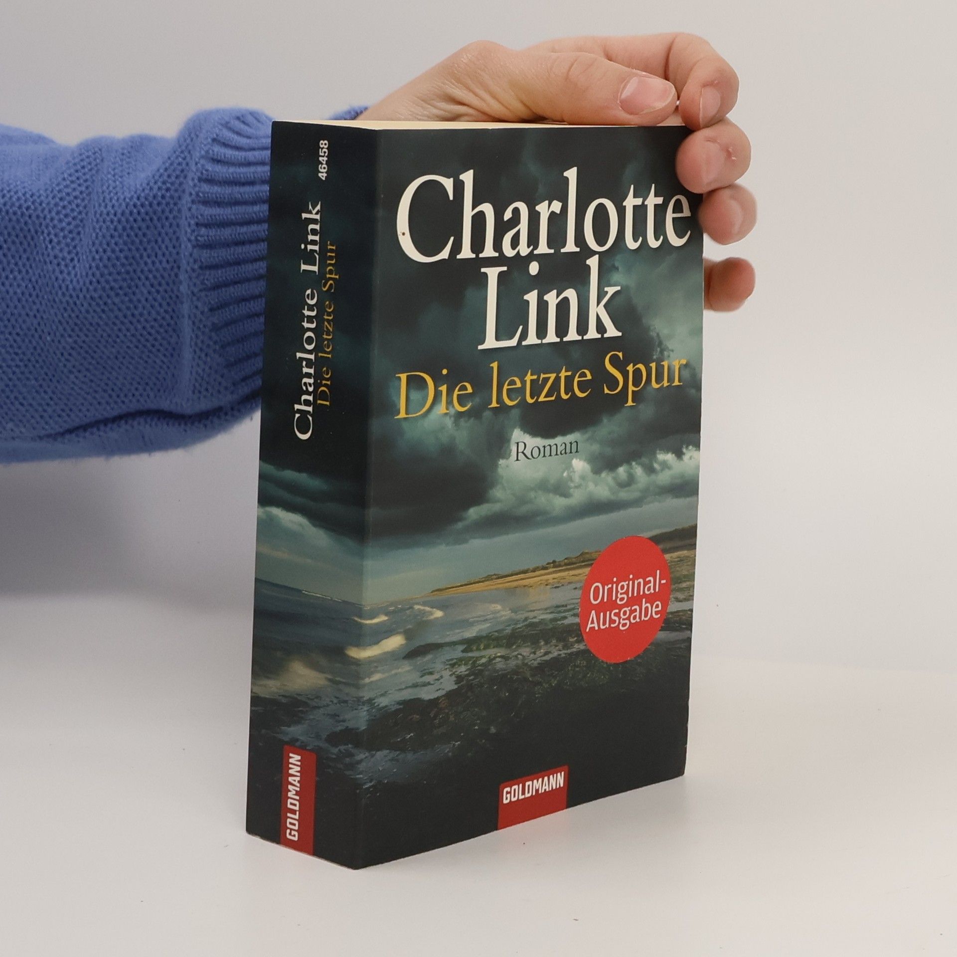 Charlotte Link Die letzte Spur