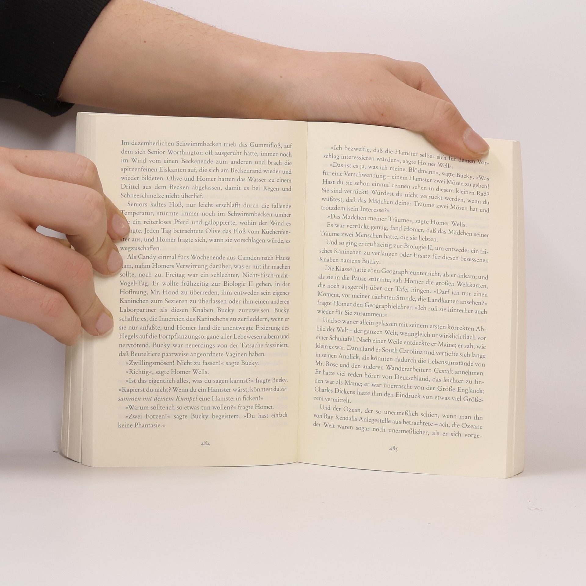 John Irving Gottes Werk und Teufels Beitrag