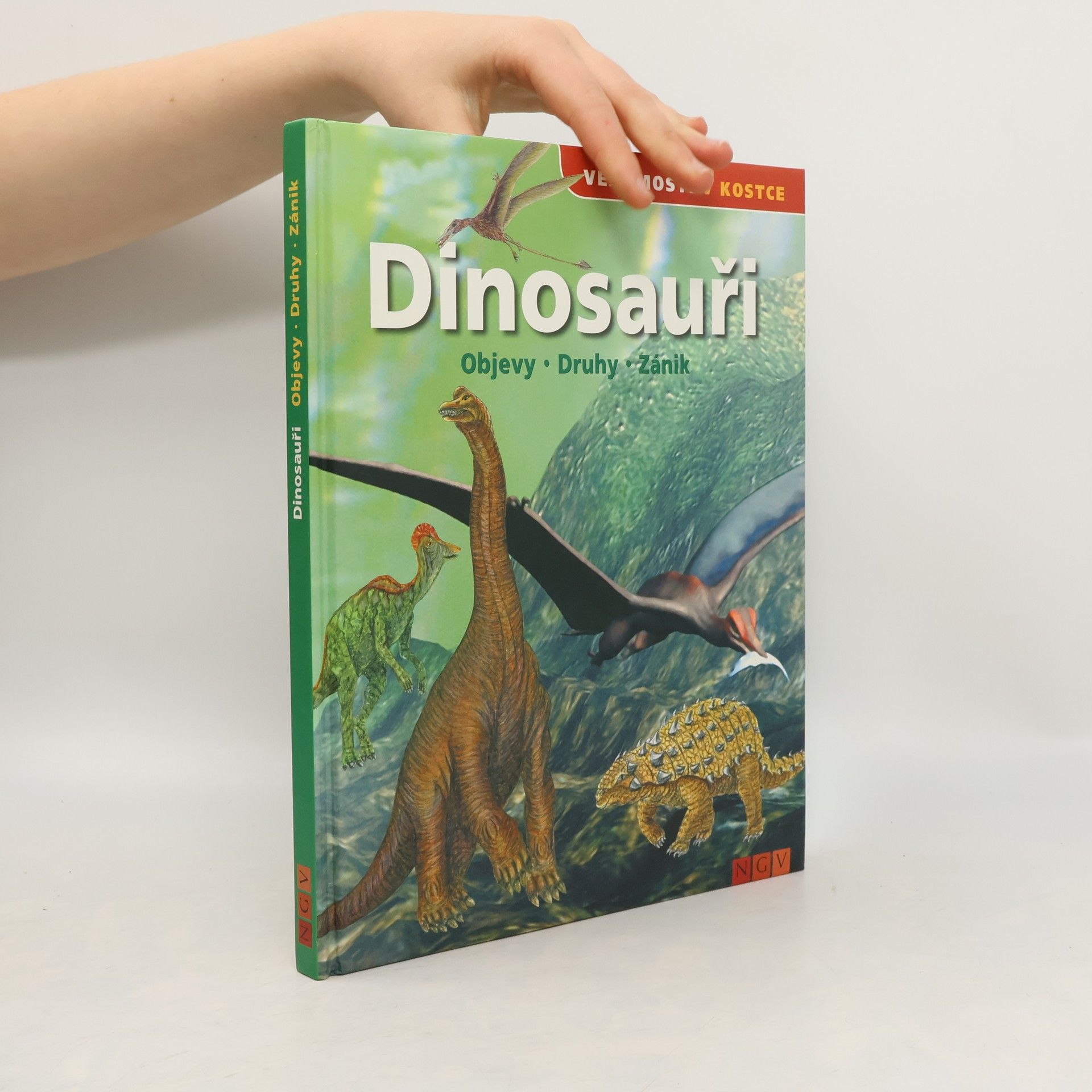 Autorenkollektiv Dinosauři