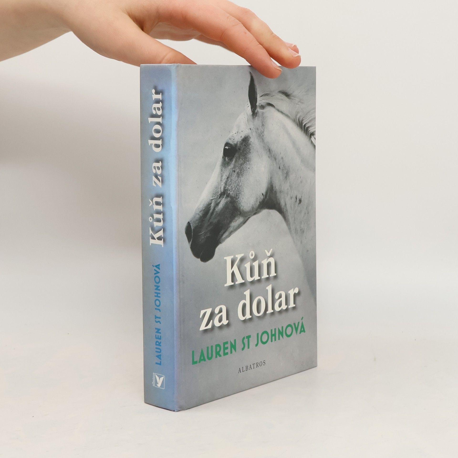 Lauren St. John Kůň za dolar