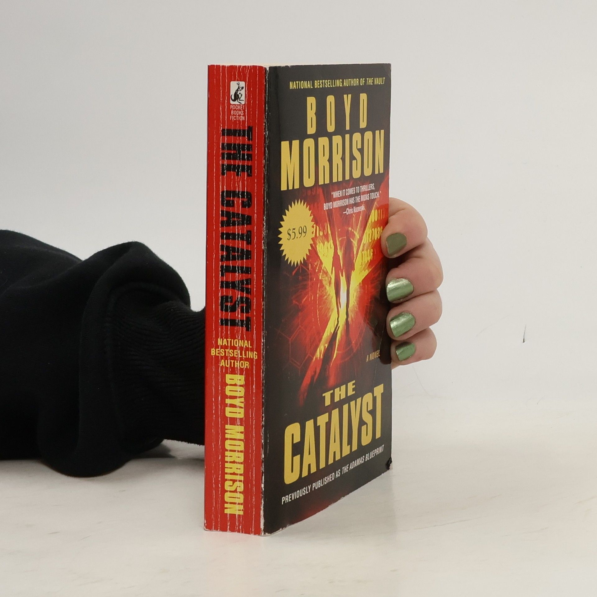 Boyd Morrison The Catalyst: Previously Published As The Adamas Blueprint