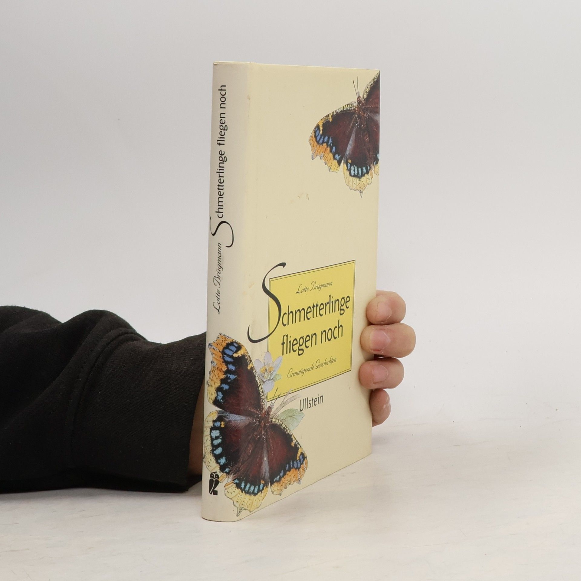 Schmetterlinge fliegen noch