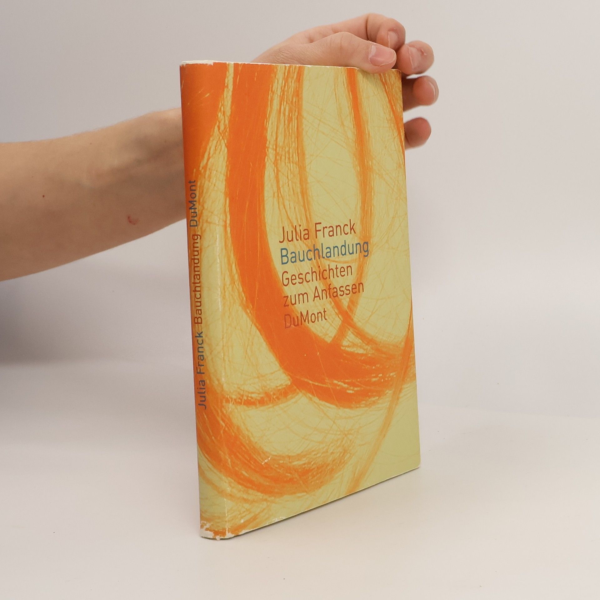 Julia Franck Bauchlandung : Geschichten zum Anfassen
