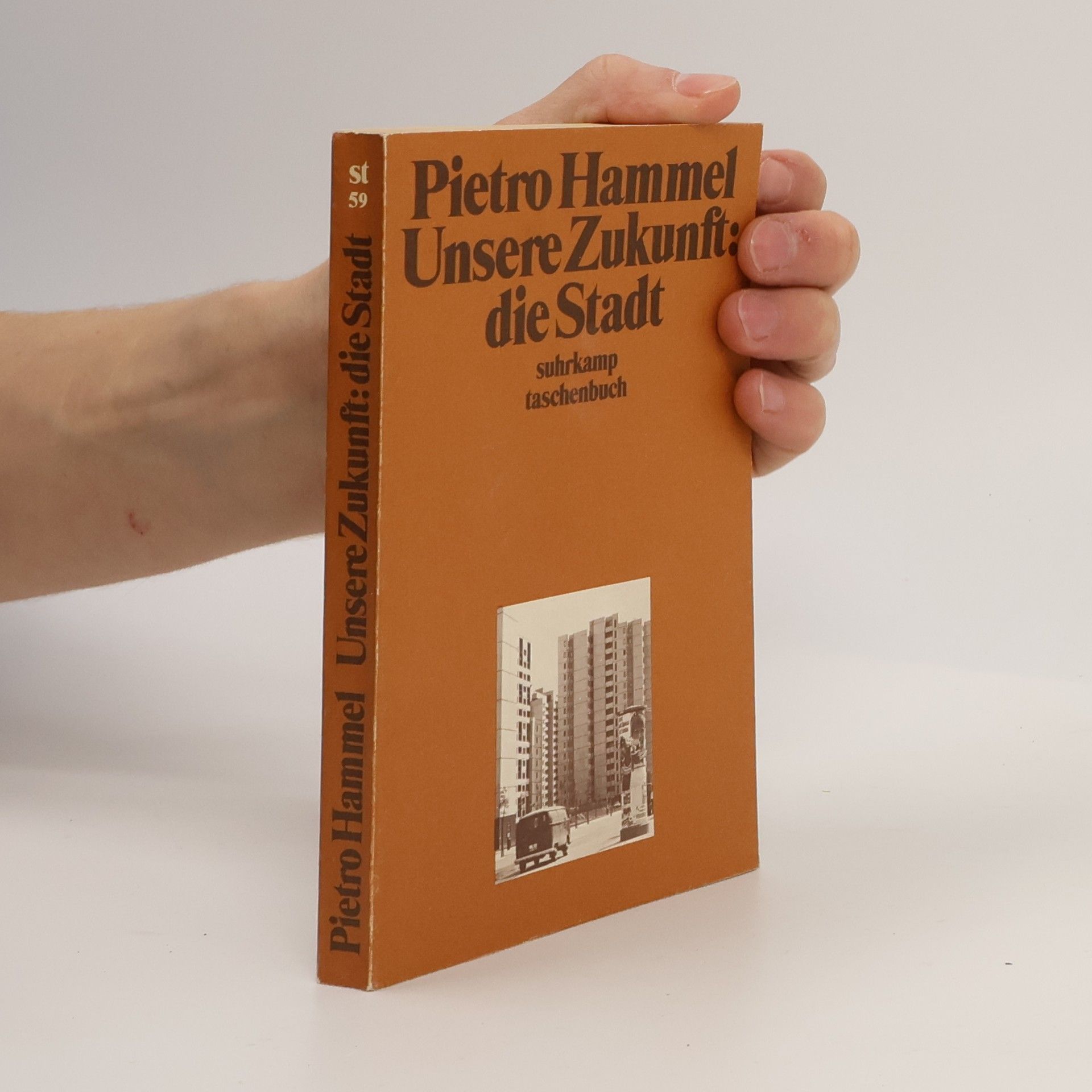 Pietro Hammel Unsere Zukunft, die Stadt