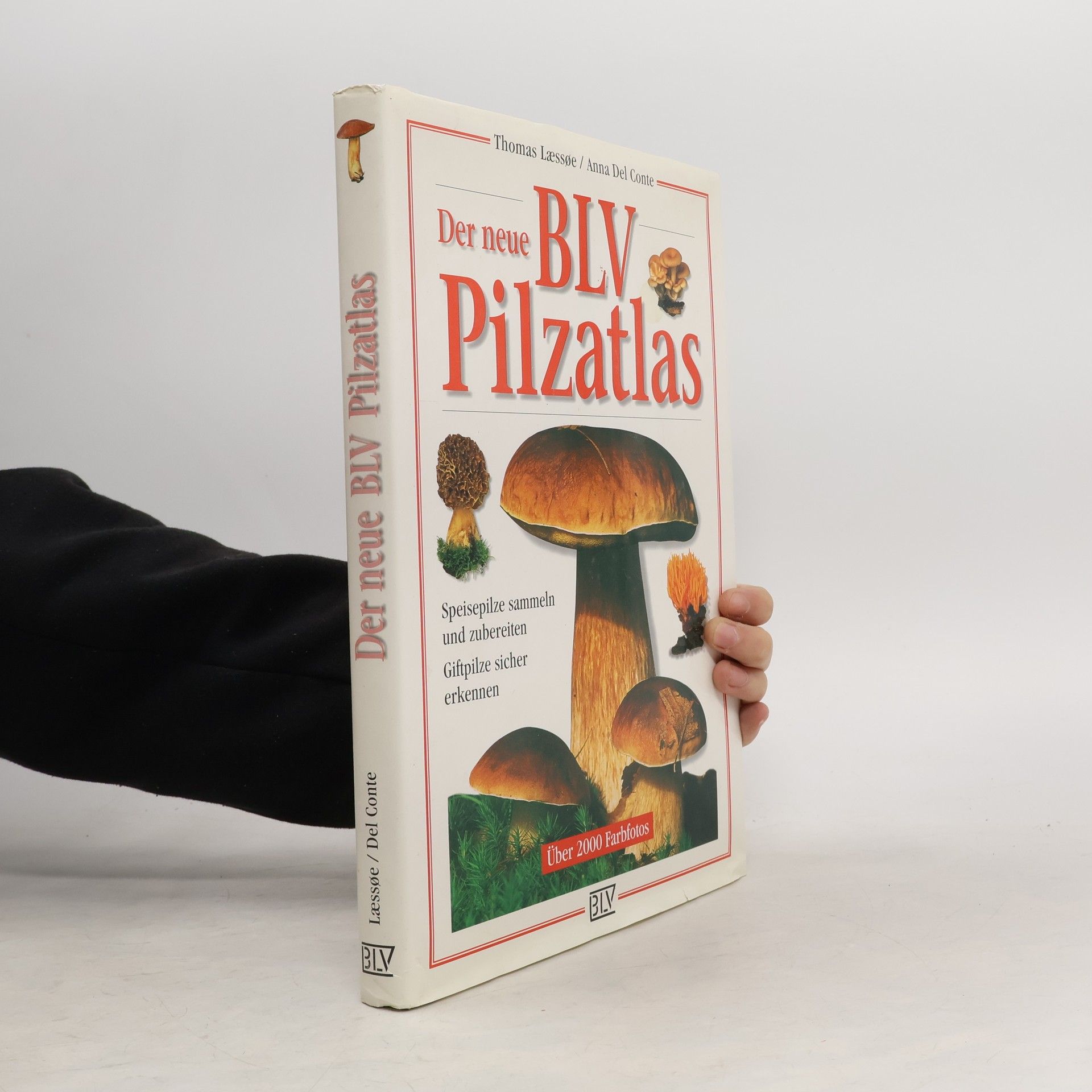 Thomas Laessoe Der neue BLV-Pilzatlas