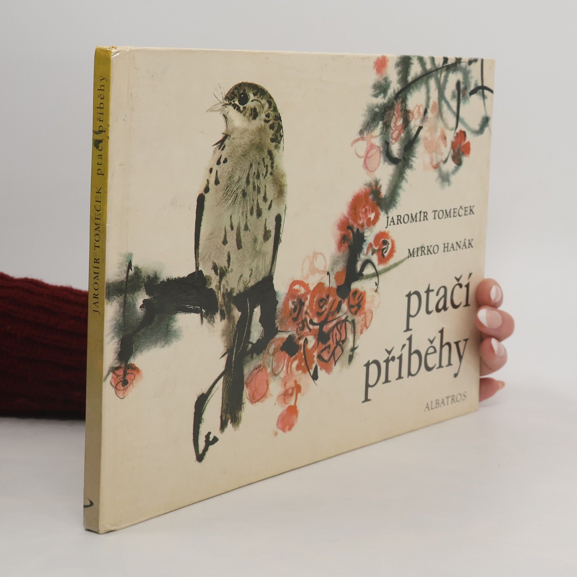 Jaromír Tomeček Ptačí příběhy
