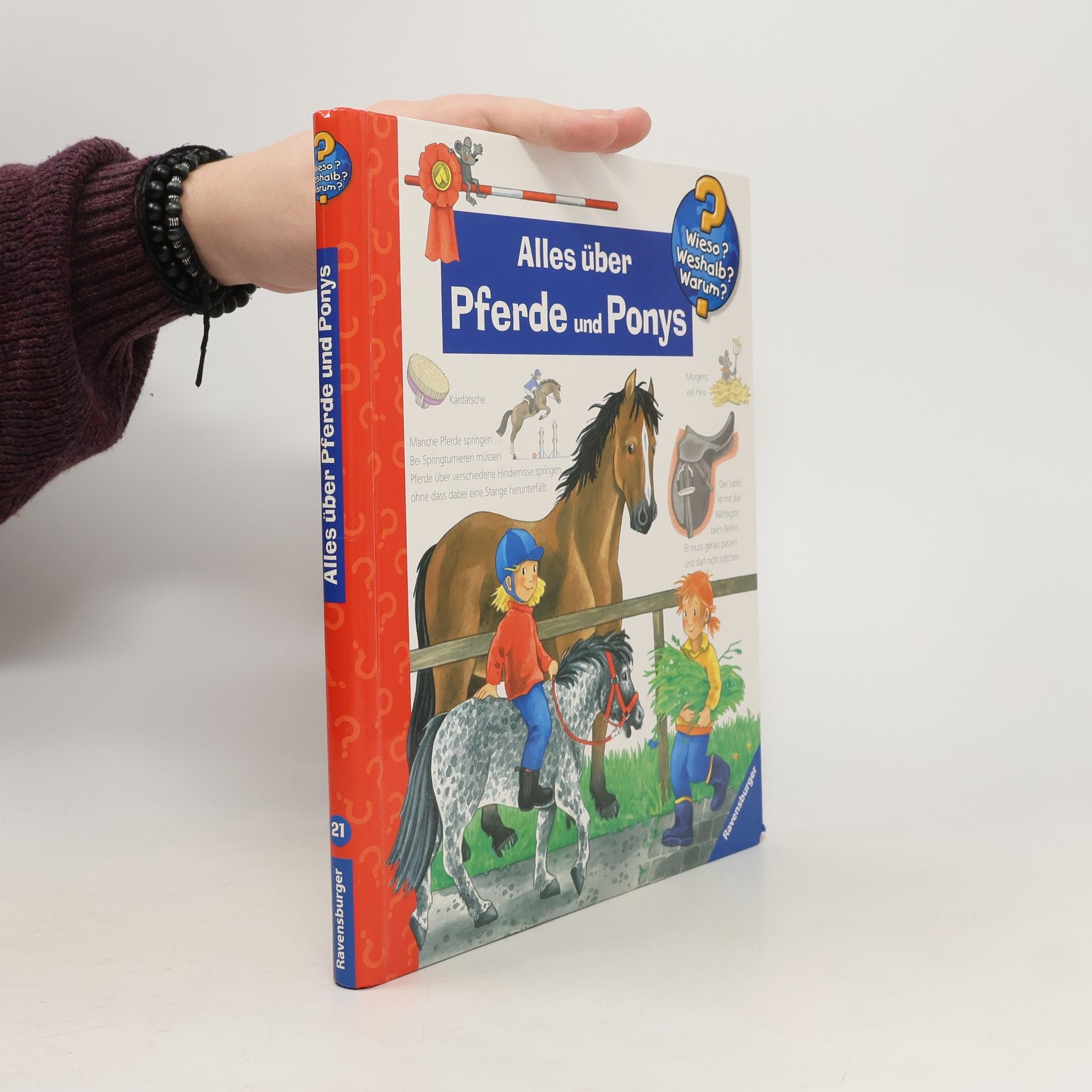 Andrea Erne Alles über Pferde und Ponys