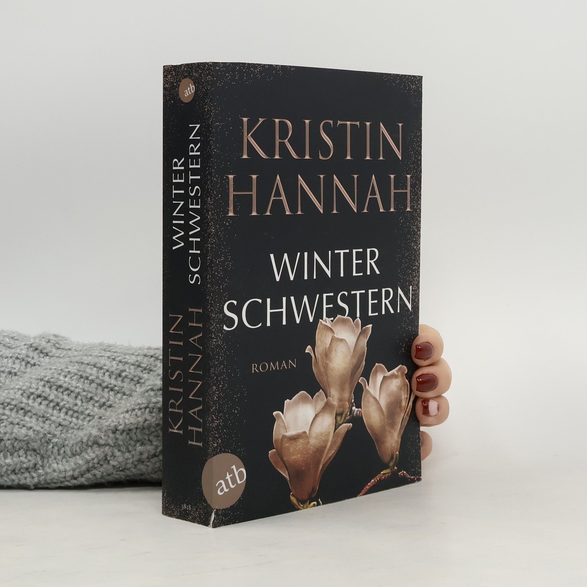 Kristin Hannah Winterschwestern