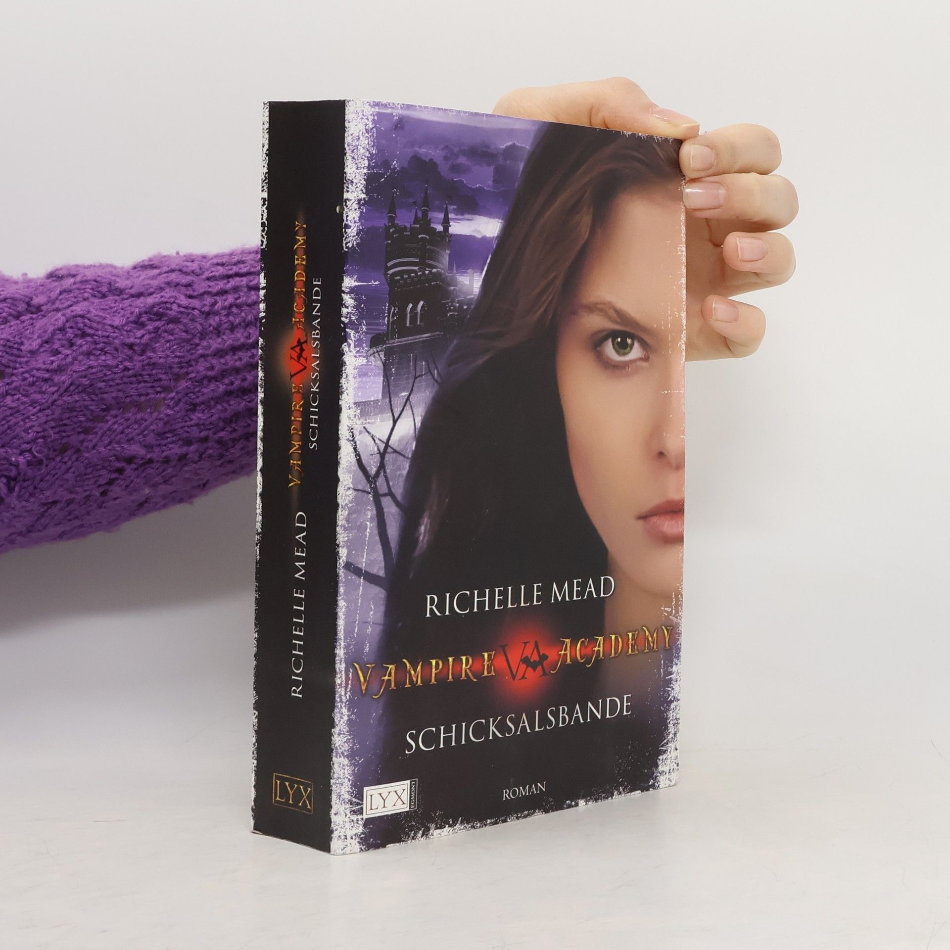 Richelle Mead Vampire Academy. Schicksalbande