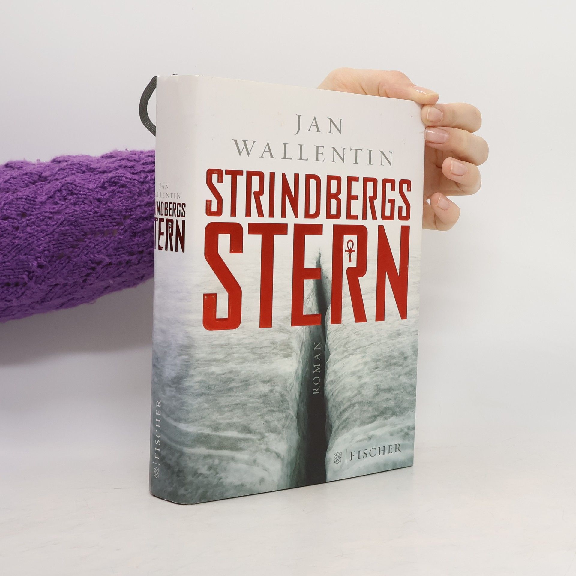 Jan Wallentin Strindbergs Stern