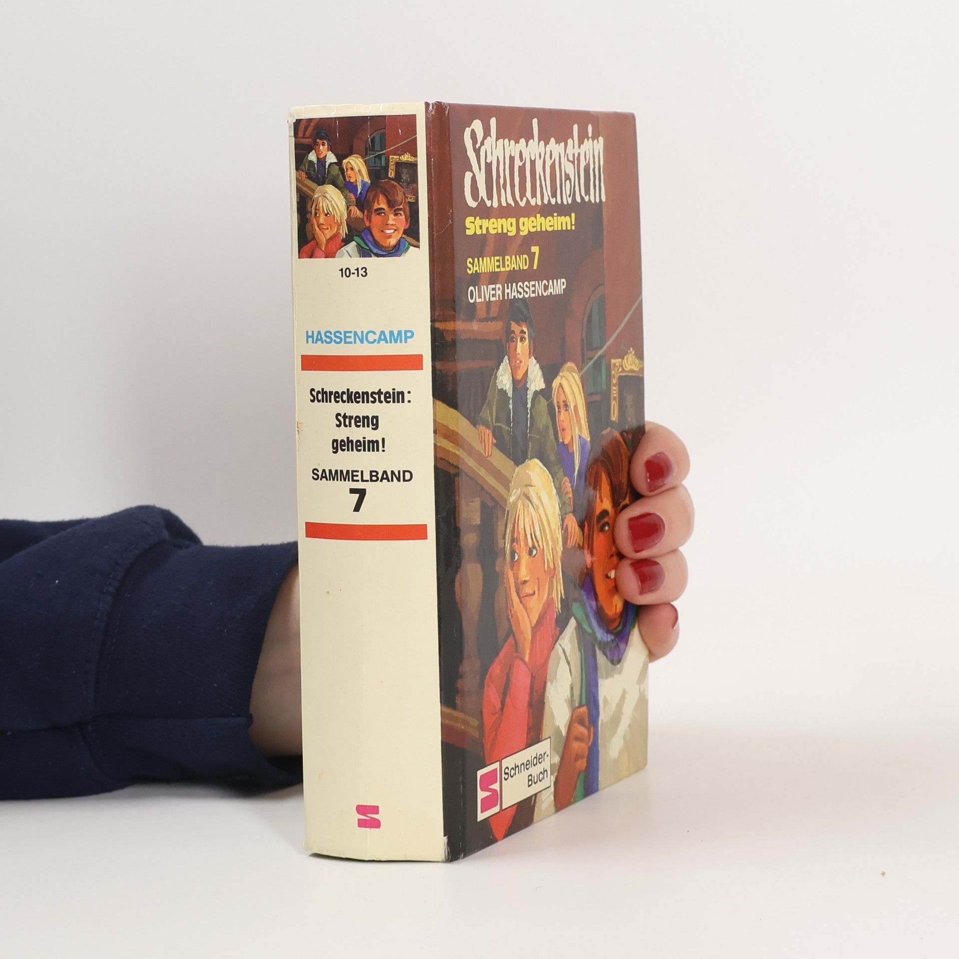 Oliver Hassencamp Schreckenstein - Streng geheim!