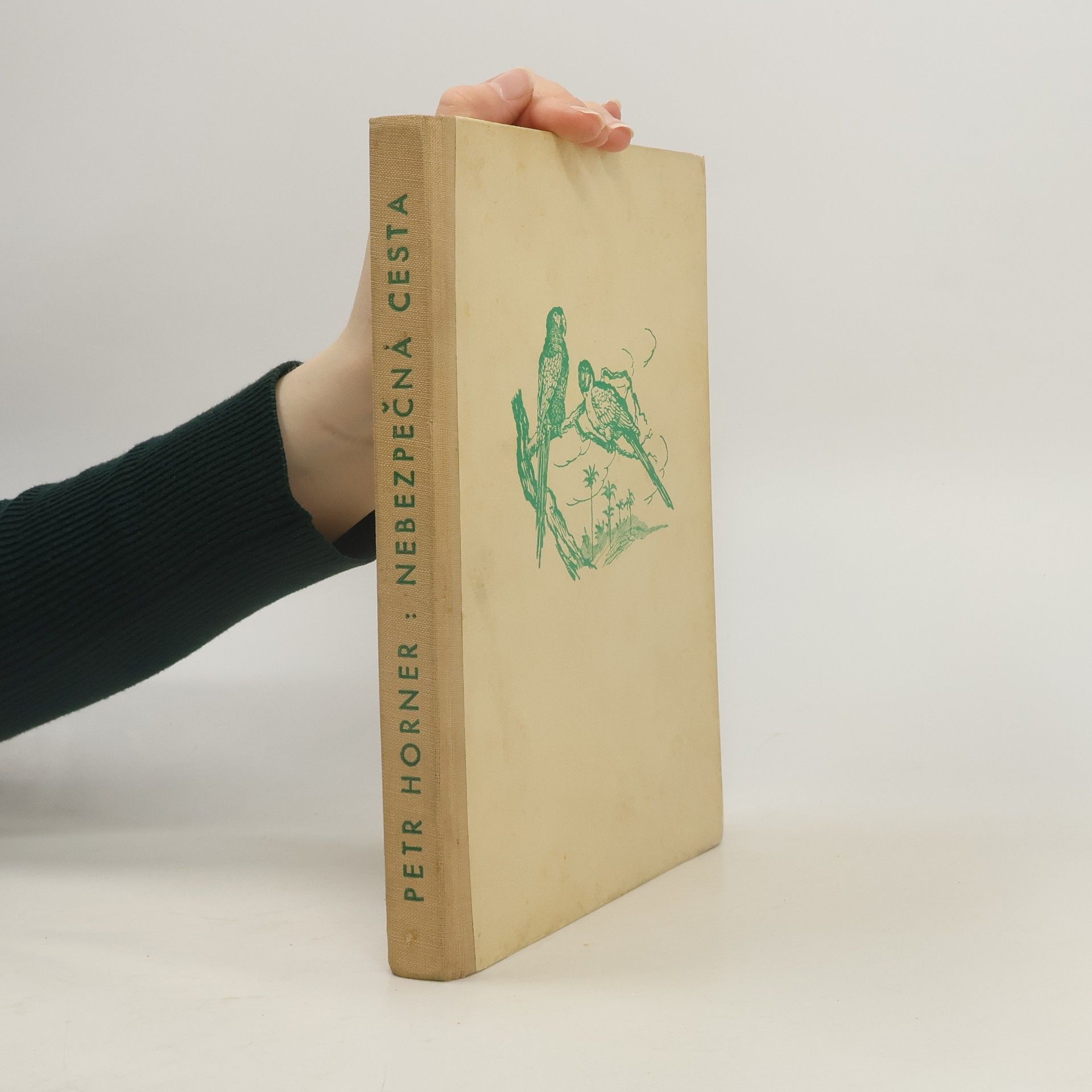 Petr Horner Nebezpečná cesta