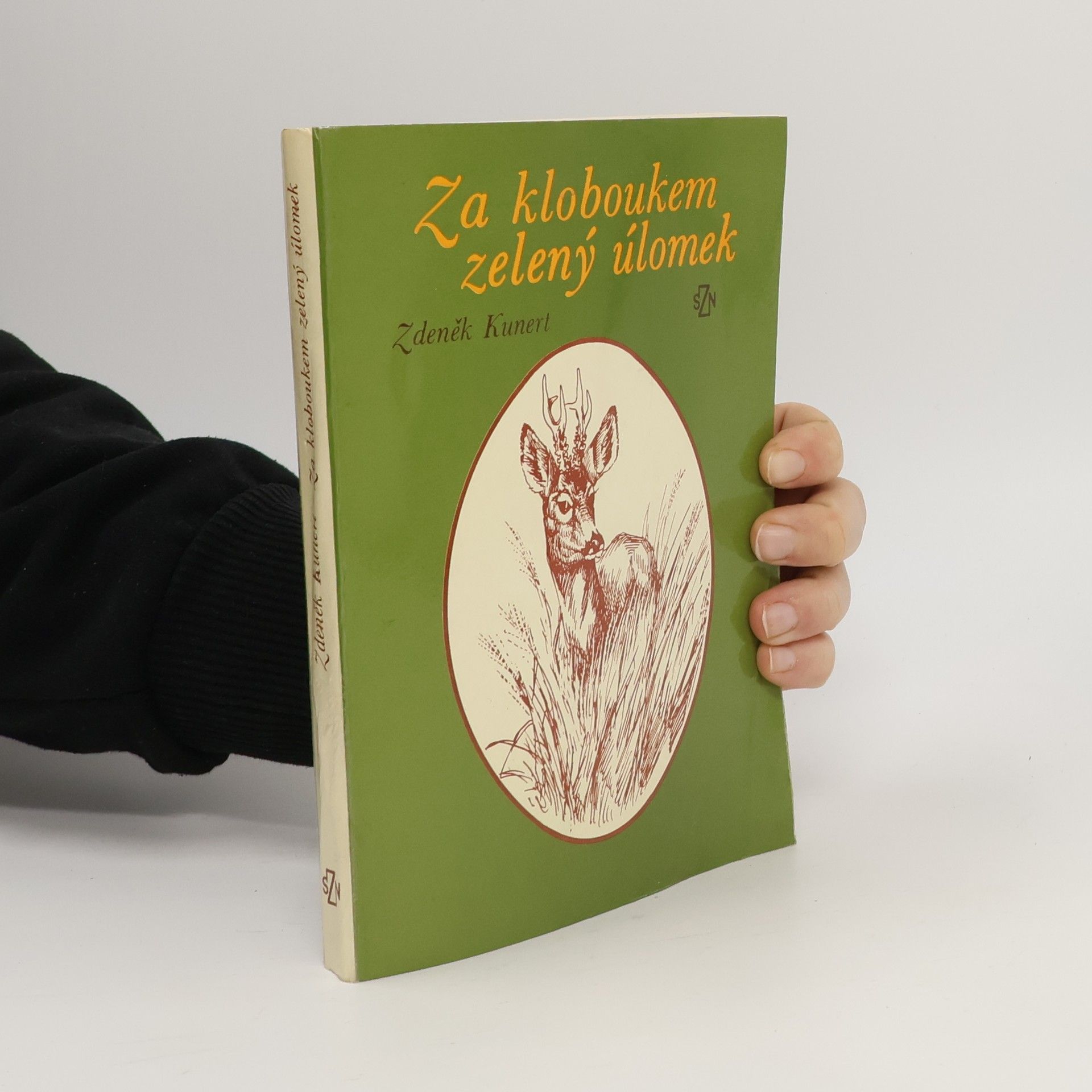 Za kloboukem zelený úlomek