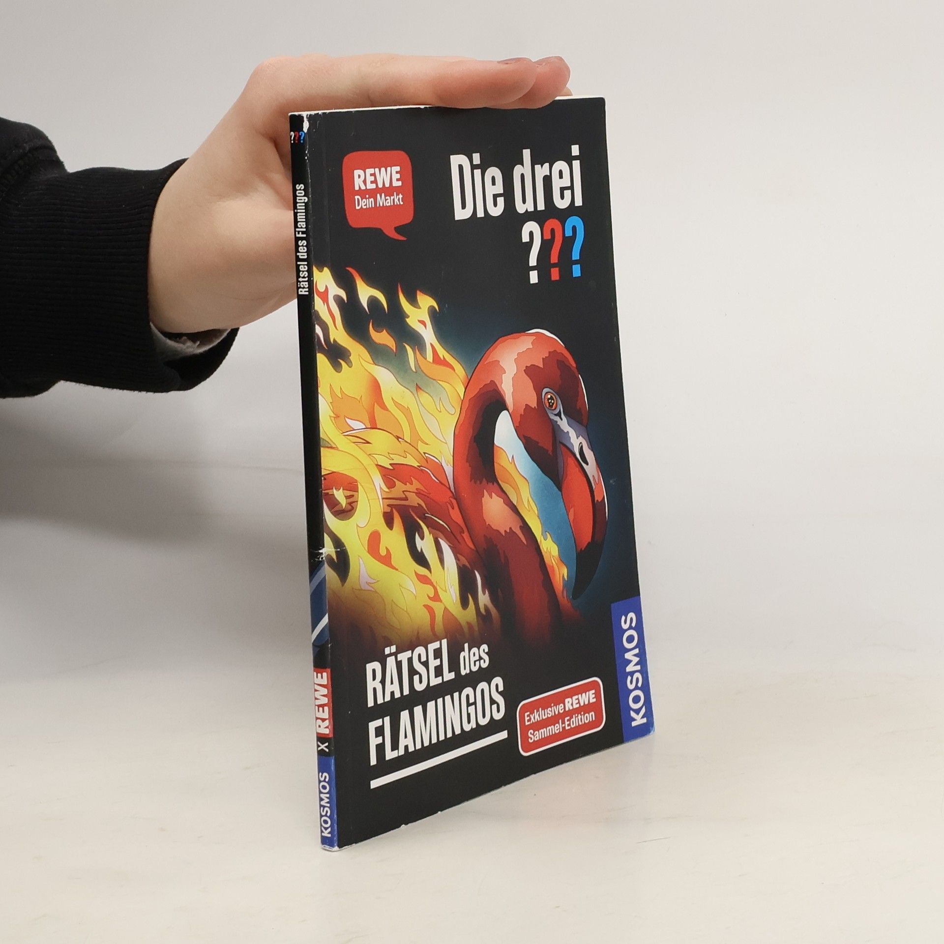 Andreas Ruch Die drei??? Rätsel des Flamingos