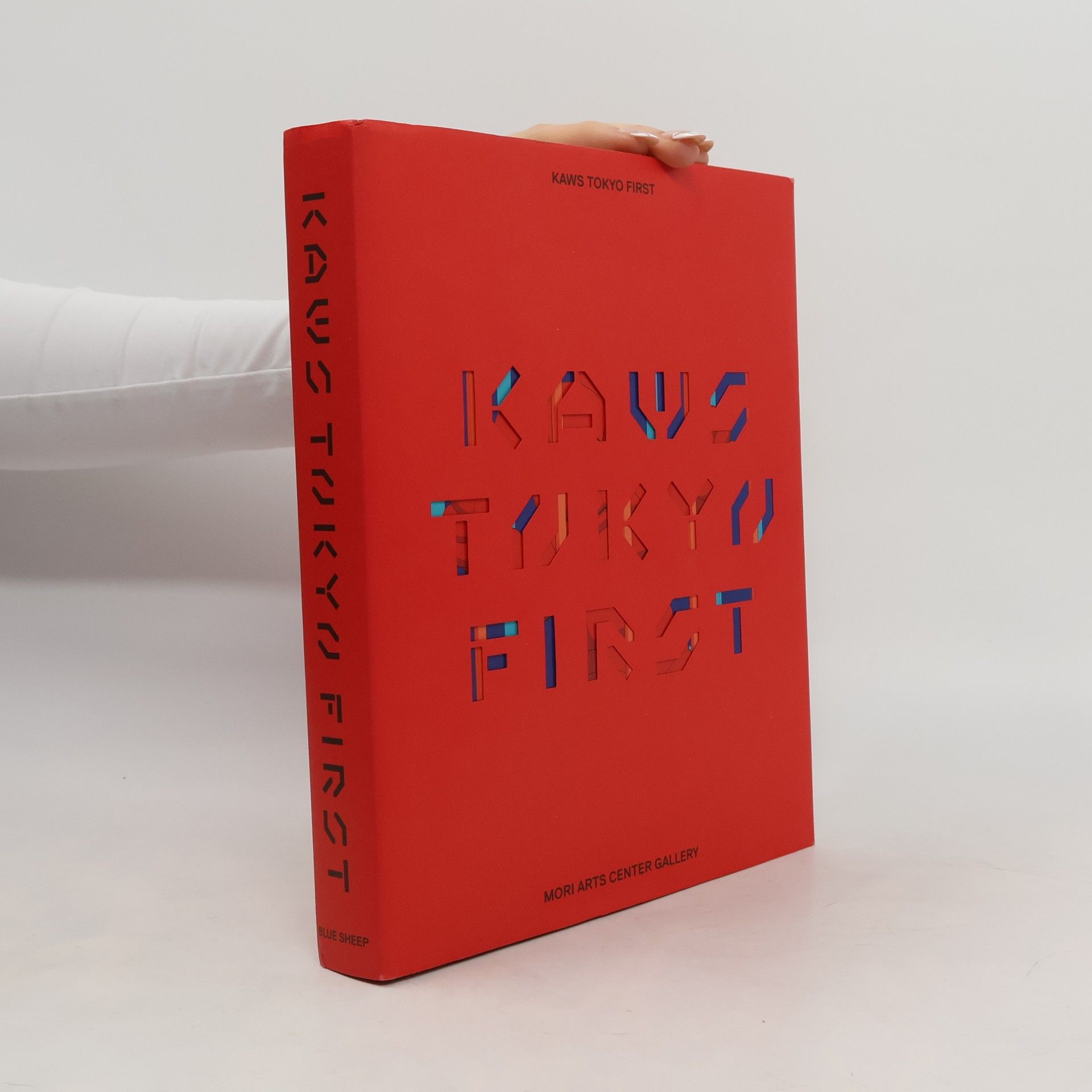 KAWS Kaws Tokyo First