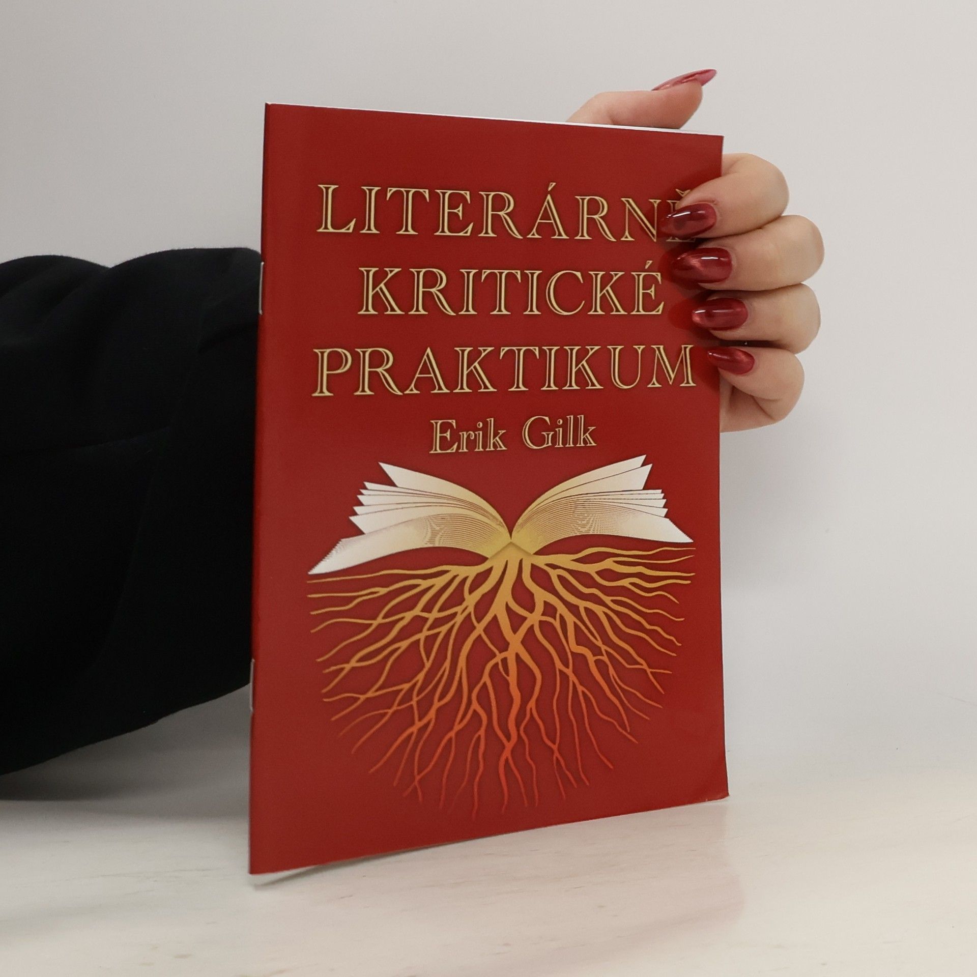 Literárně kritické praktikum