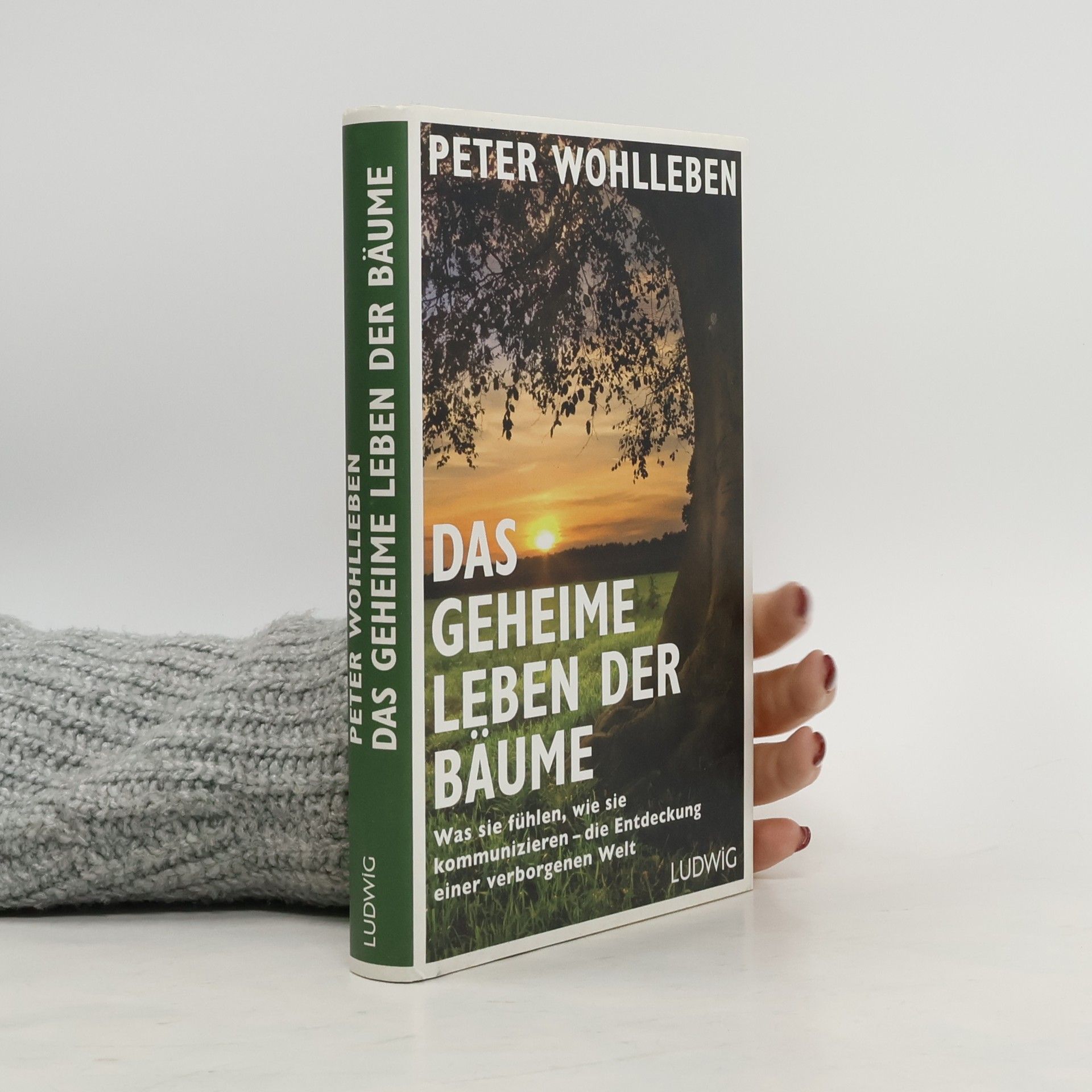 Peter Wohlleben Das geheime Leben der Bäume