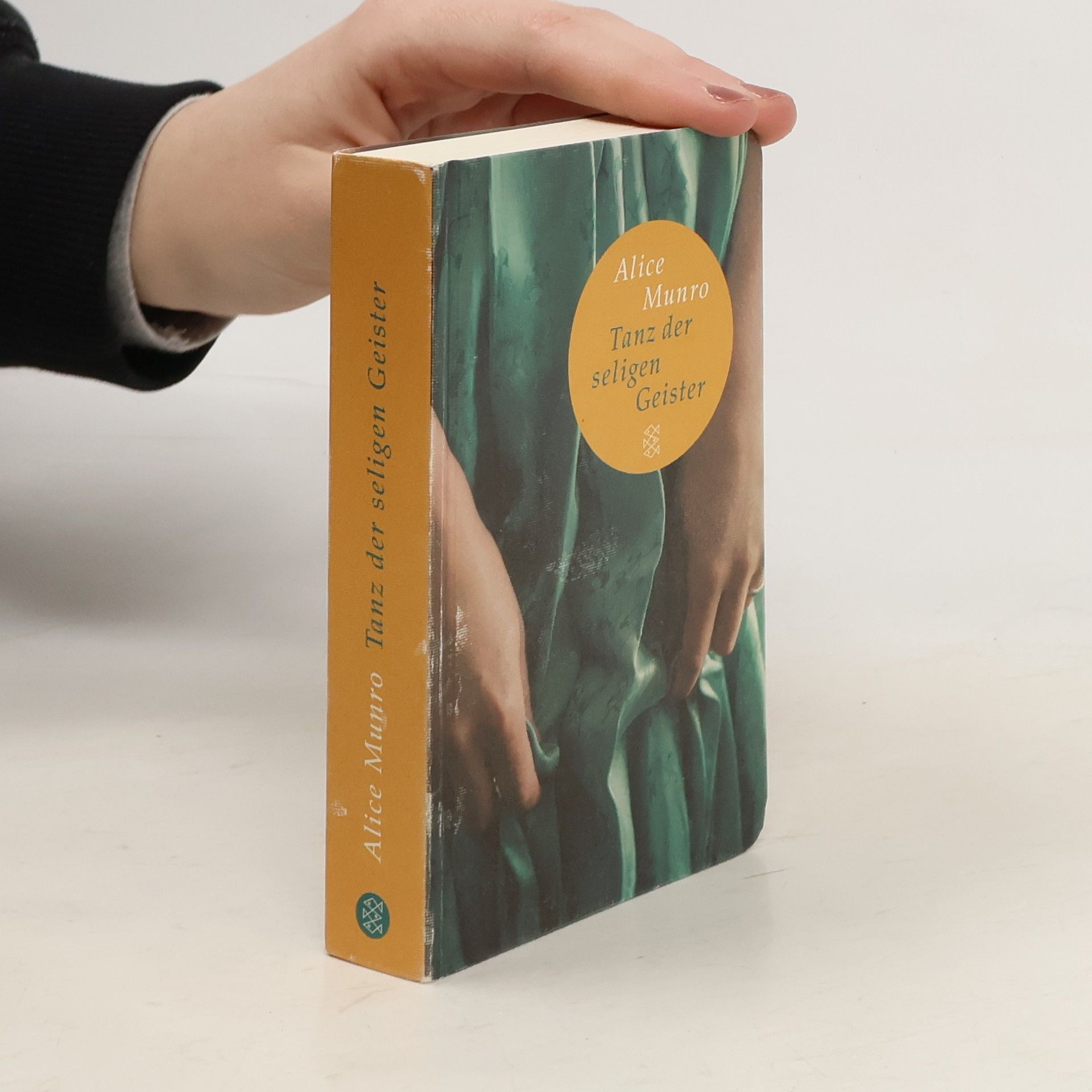 Alice Munro Tanz der seligen Geister