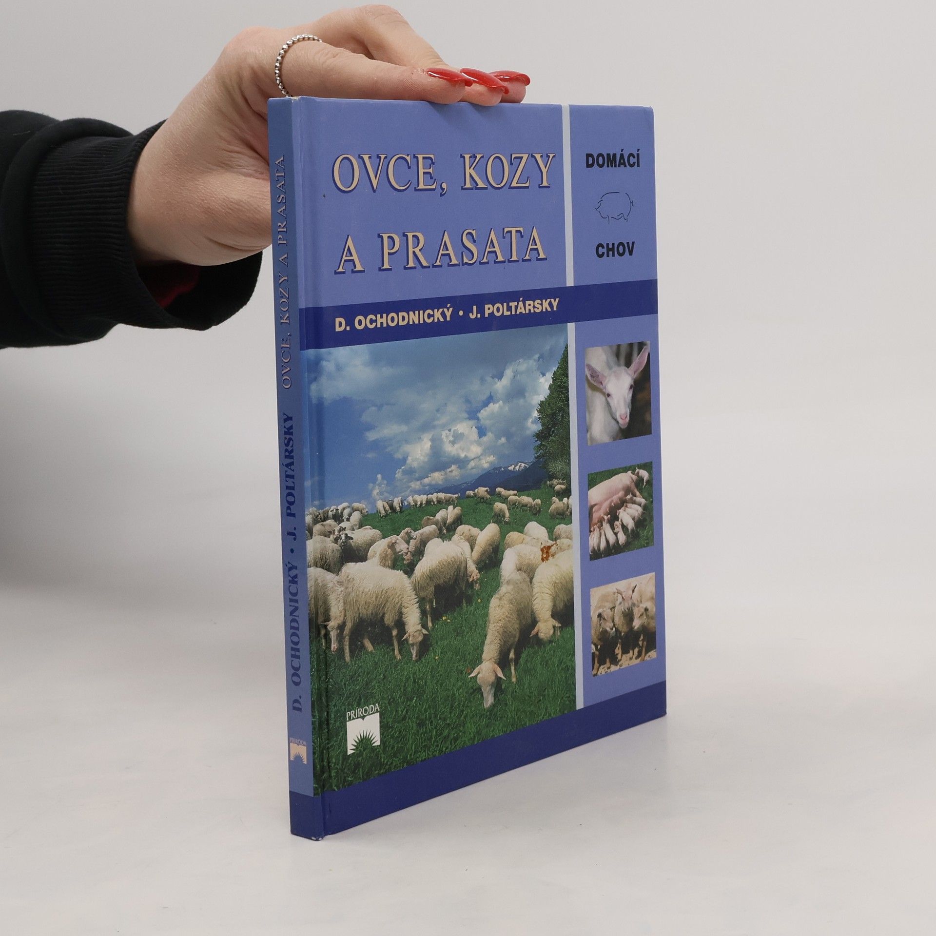 Kolektiv autorů Ovce, kozy a prasata