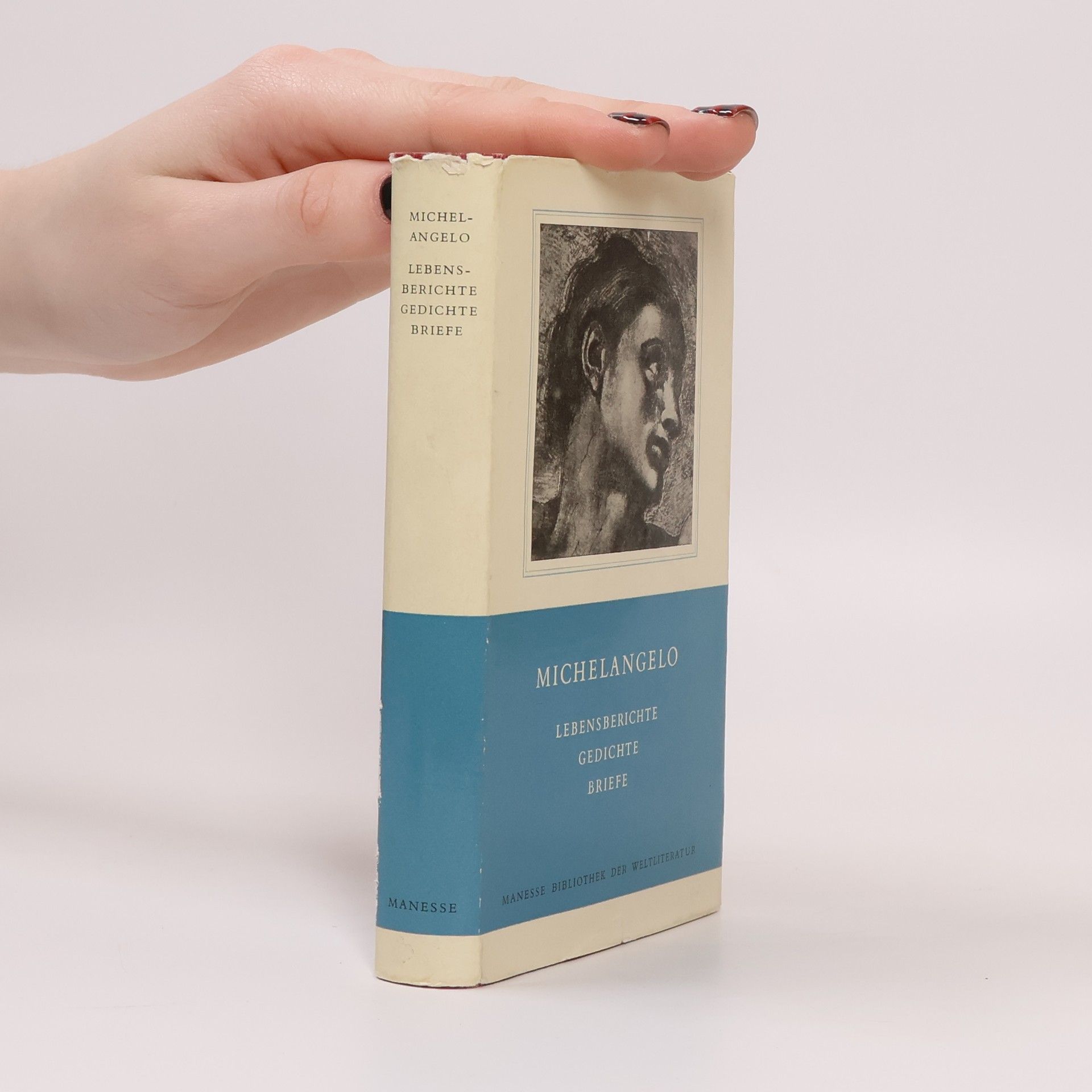 Michelangelo Buonarroti Lebensberichte Gedichte Briefe