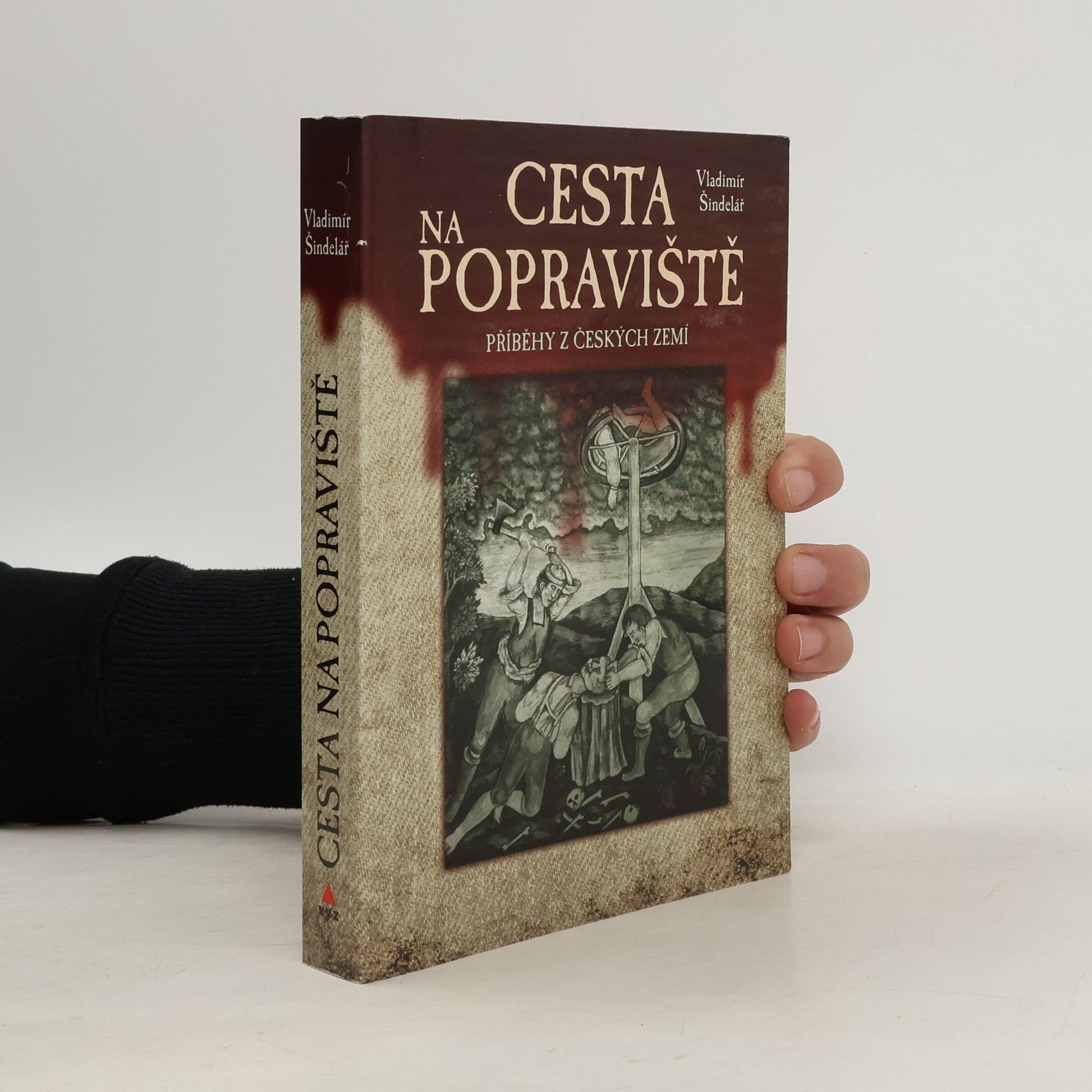 Vladimír Šindelář Cesta na popraviště : příběhy z českých zemí