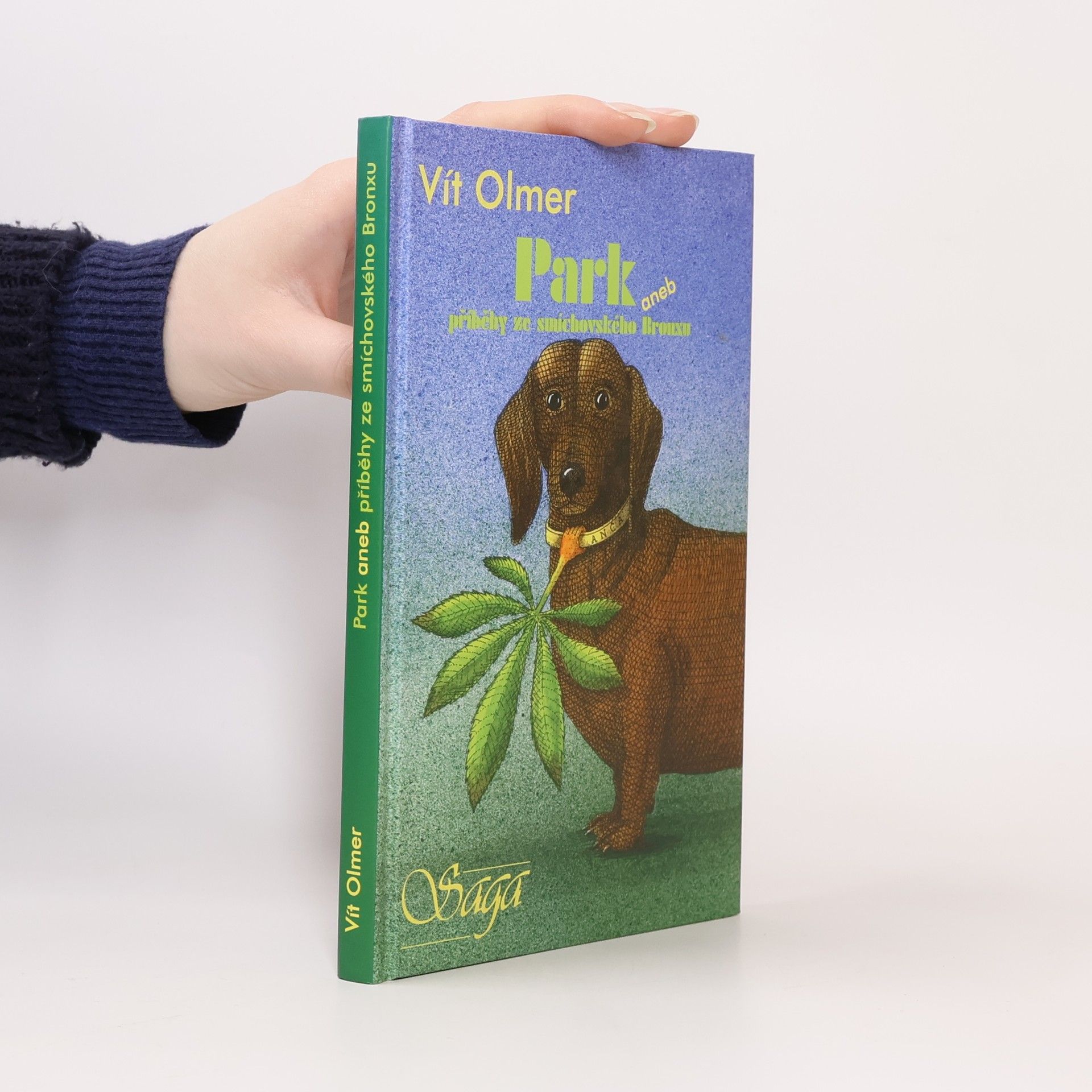 Park, aneb, Příběhy ze smíchovského Bronxu