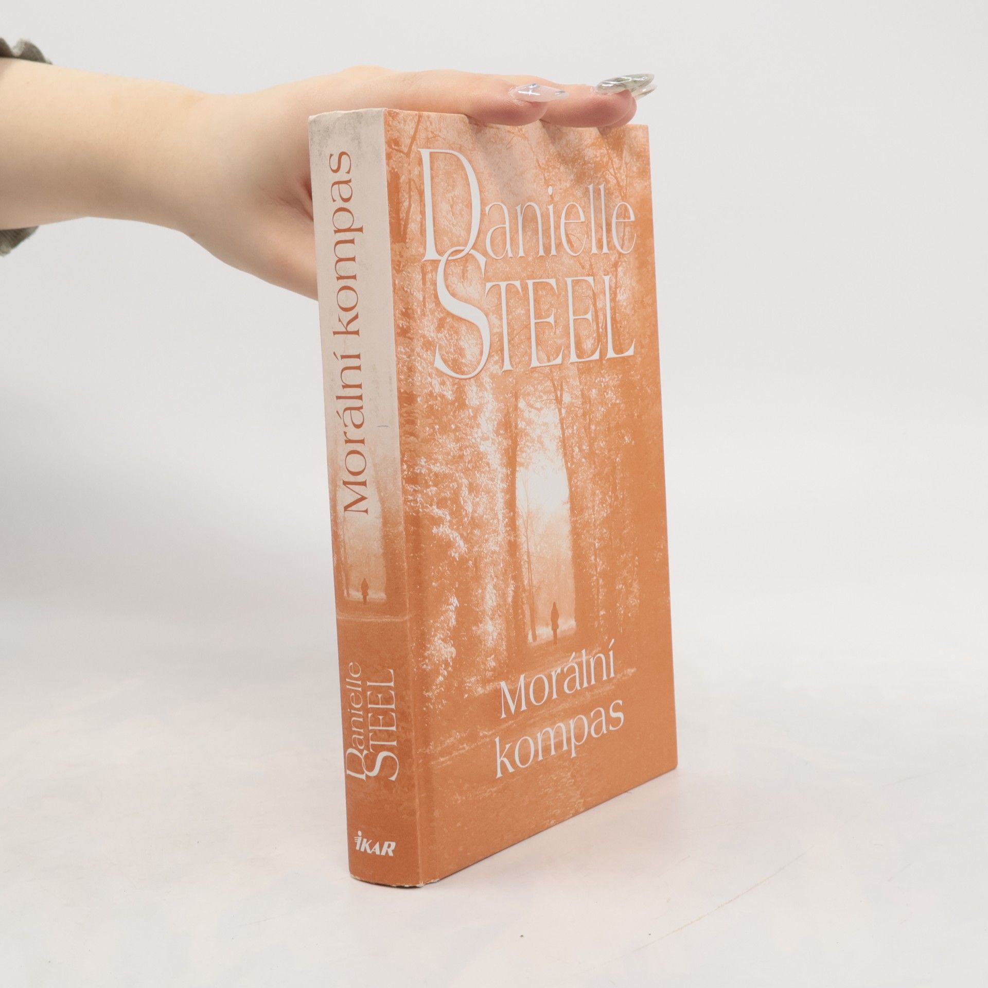 Danielle Steel Morální kompas