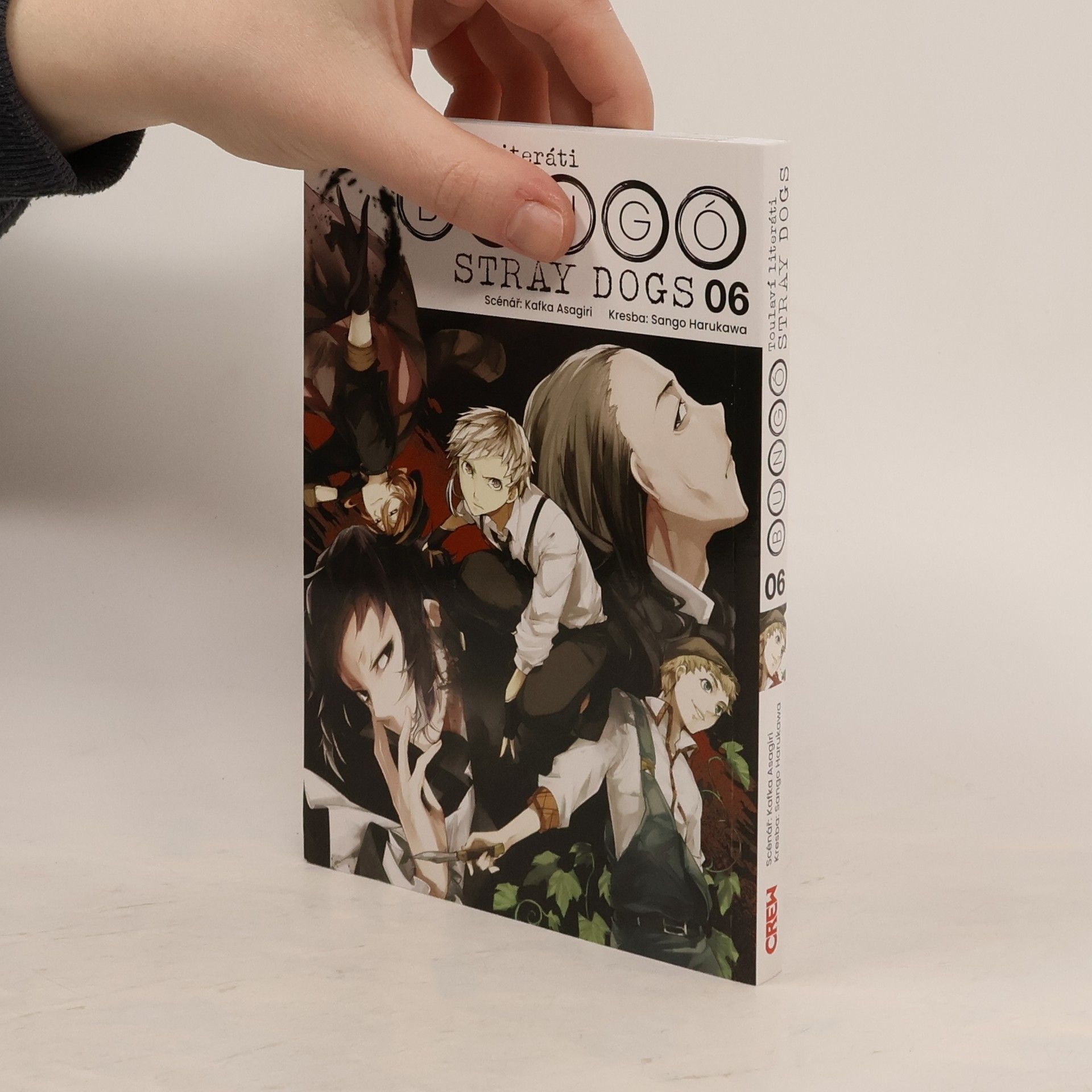 Toulaví literáti 6