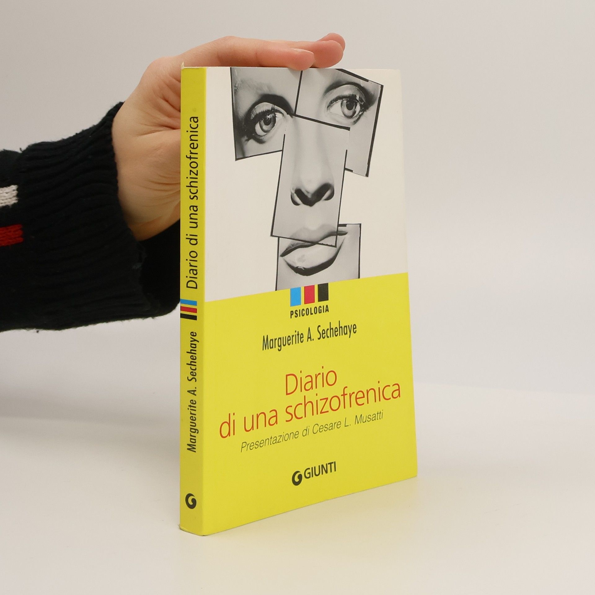 Marguerite Sechehaye Diario di una schizofrenica