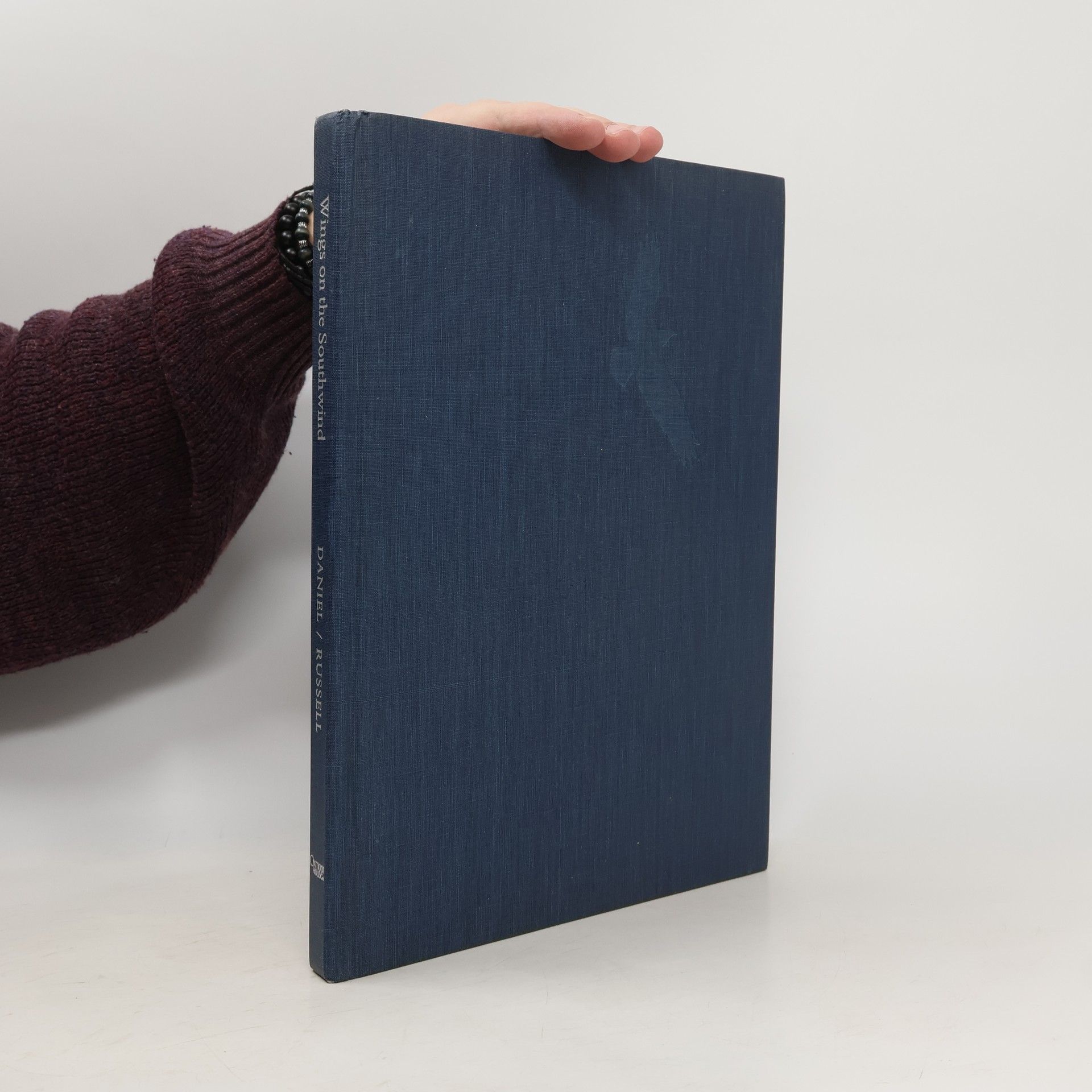 Daniel Russell Wings on the Southwind