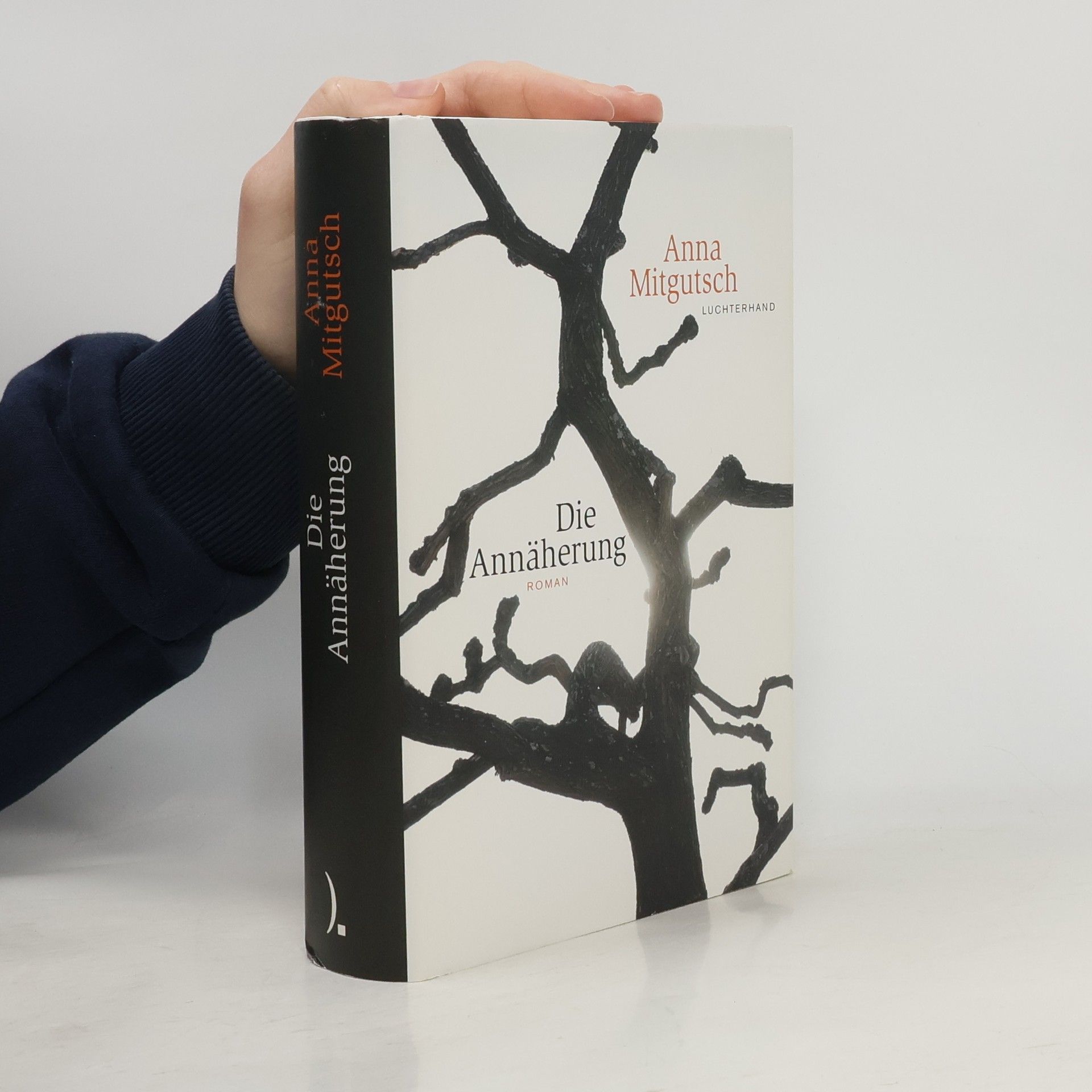 Anna Mitgutsch Die Annäherung