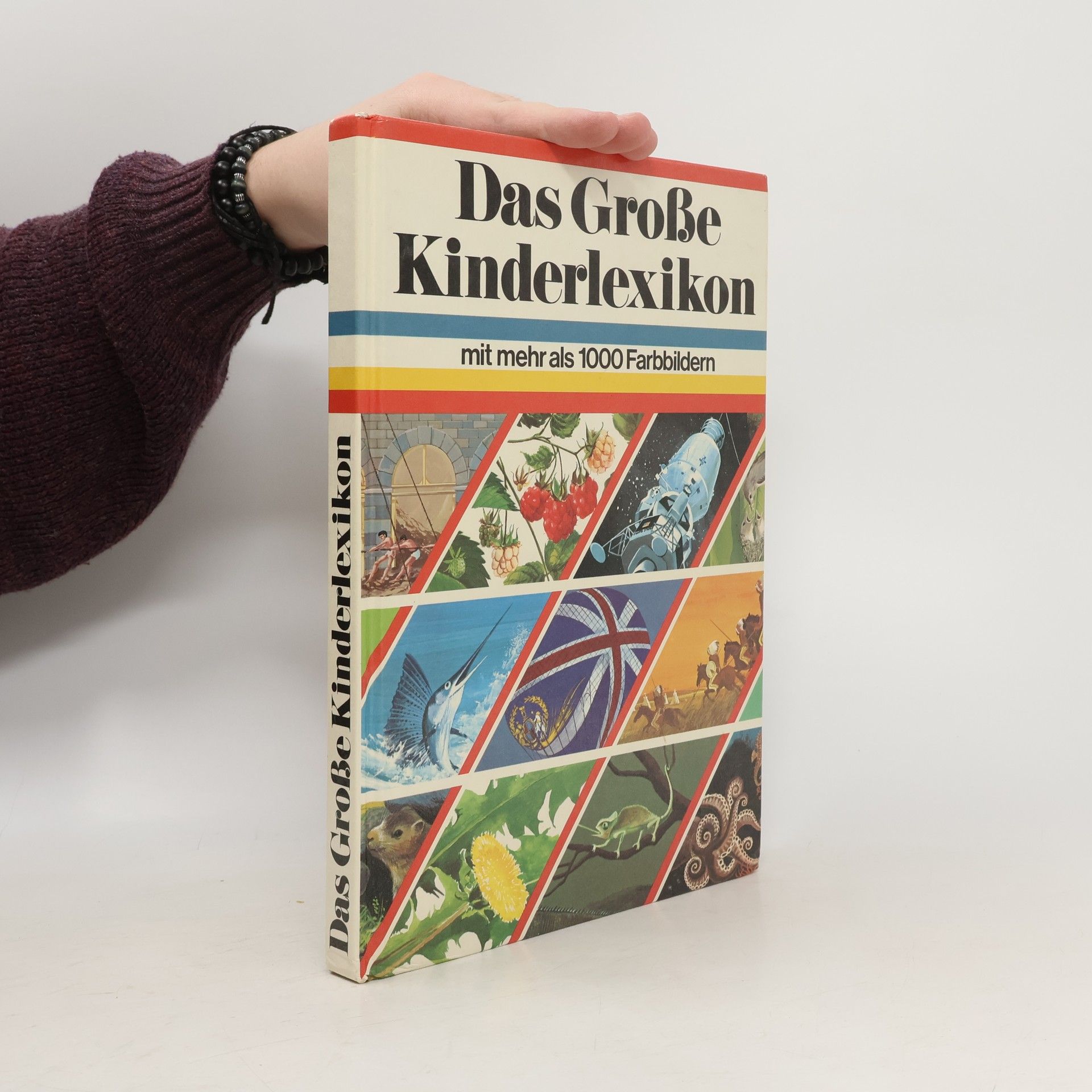 Autorenkollektiv Das Große Kinderlexikon