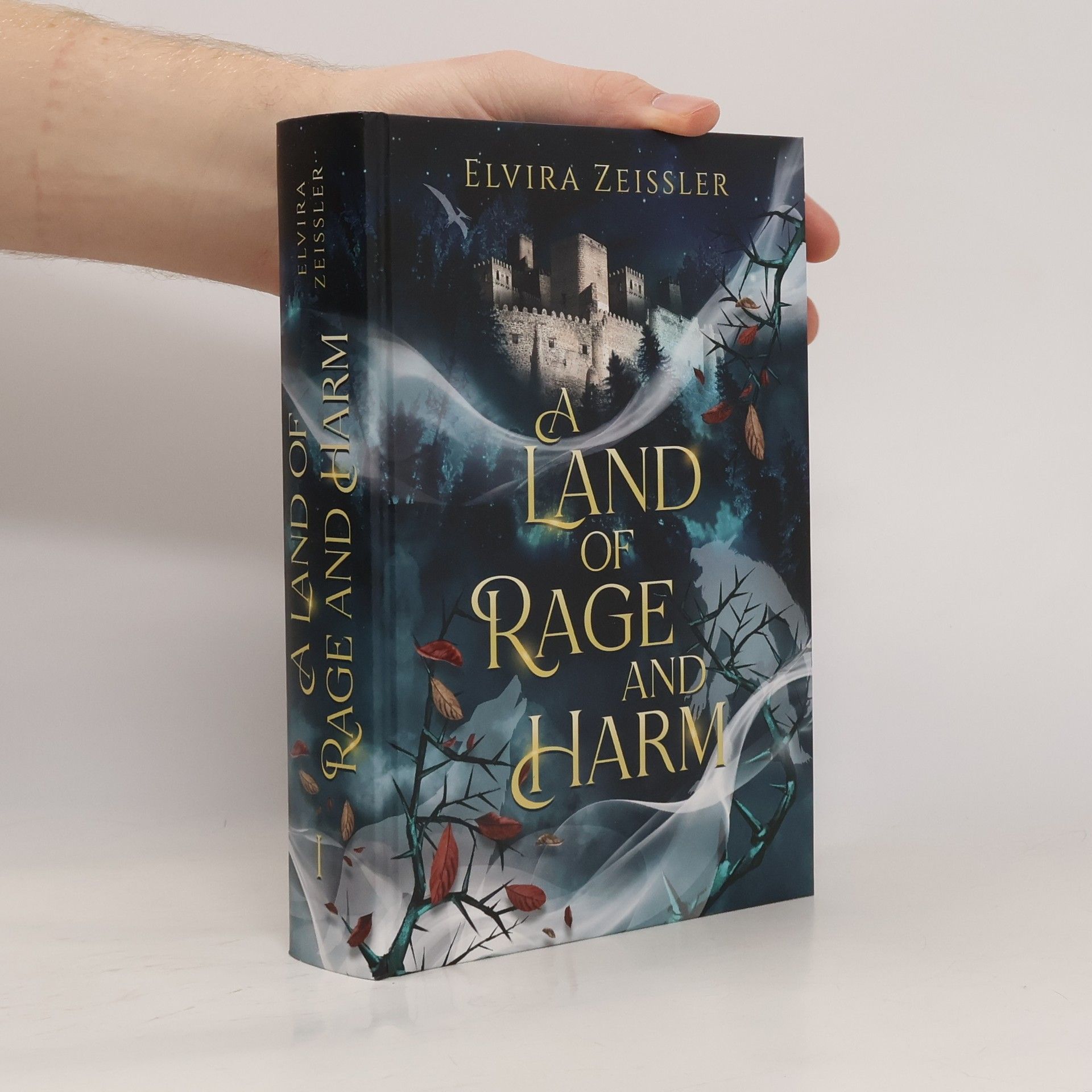 Elvira Zeißler A Land of Rage and Harm