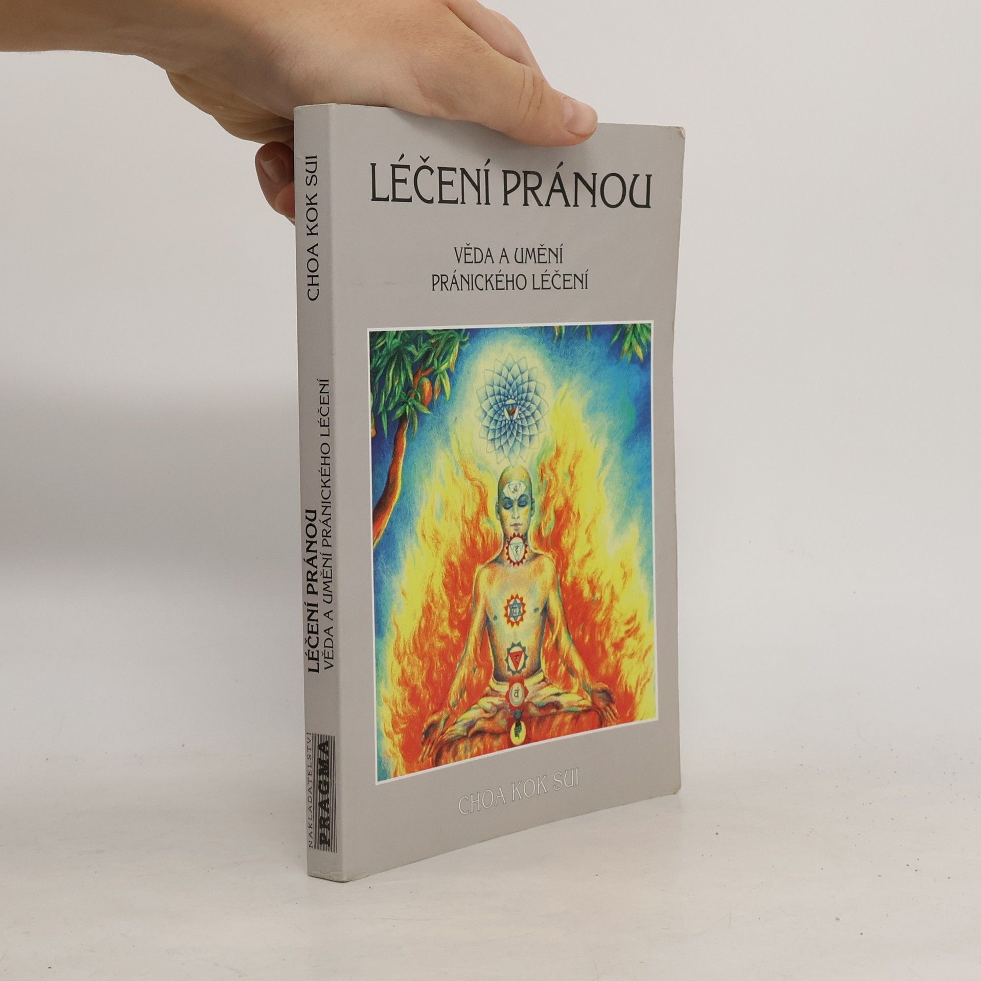 Léčení pránou: Věda a umění pránického léčení