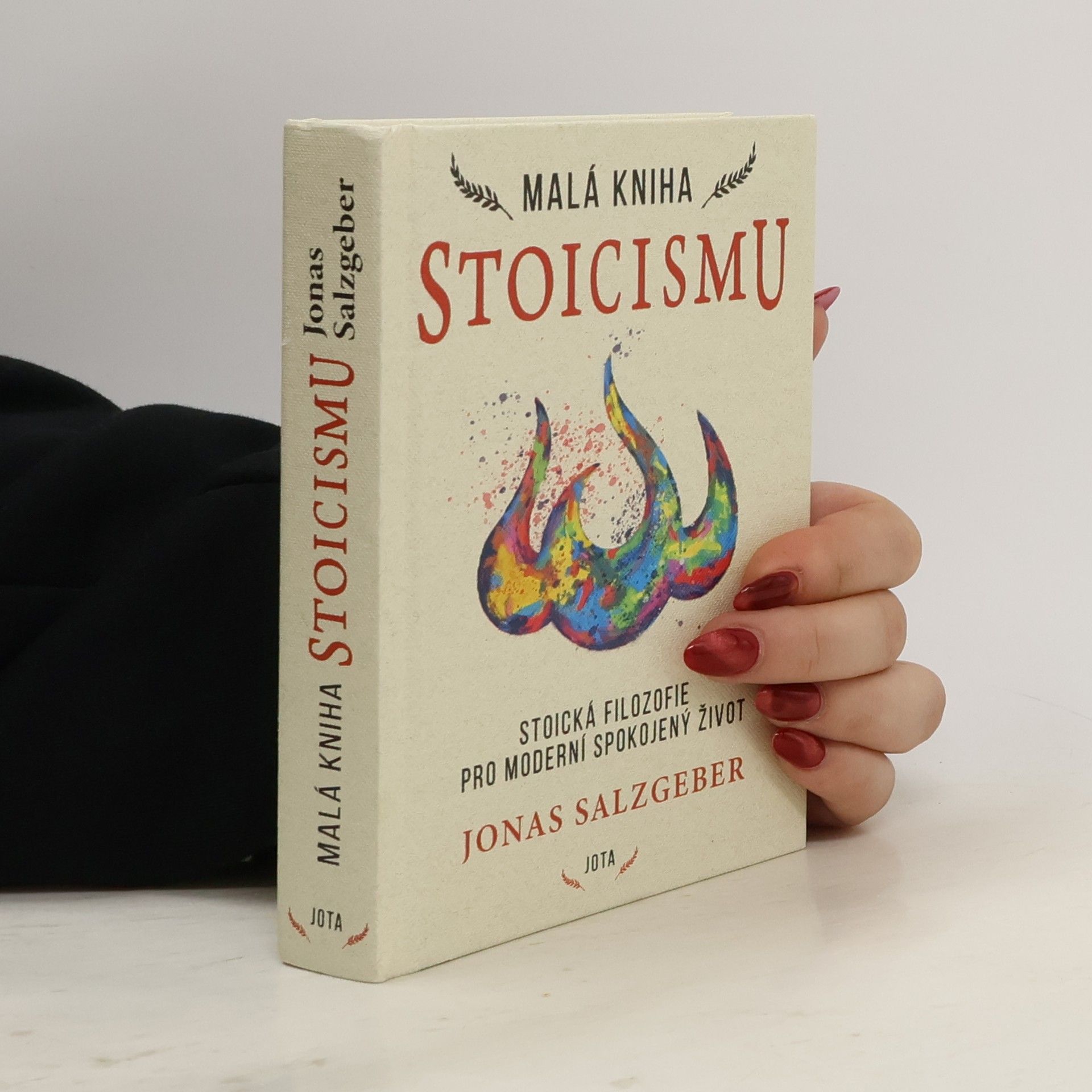 Jonas Salzgeber Malá kniha stoicismu : nadčasová moudrost k získání odolnosti, sebedůvěry a klidu