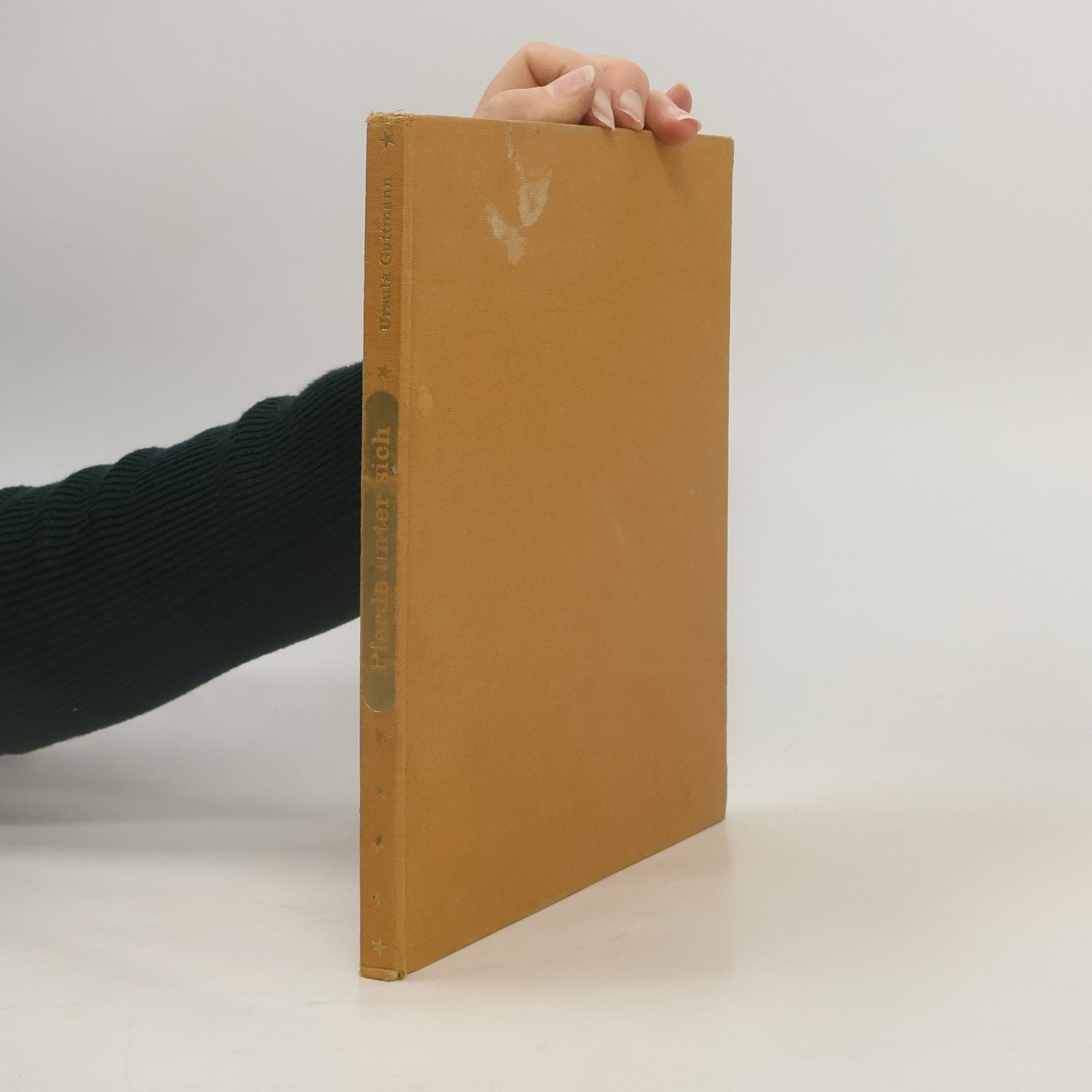 Ursula Guttmann Pferde unter sich