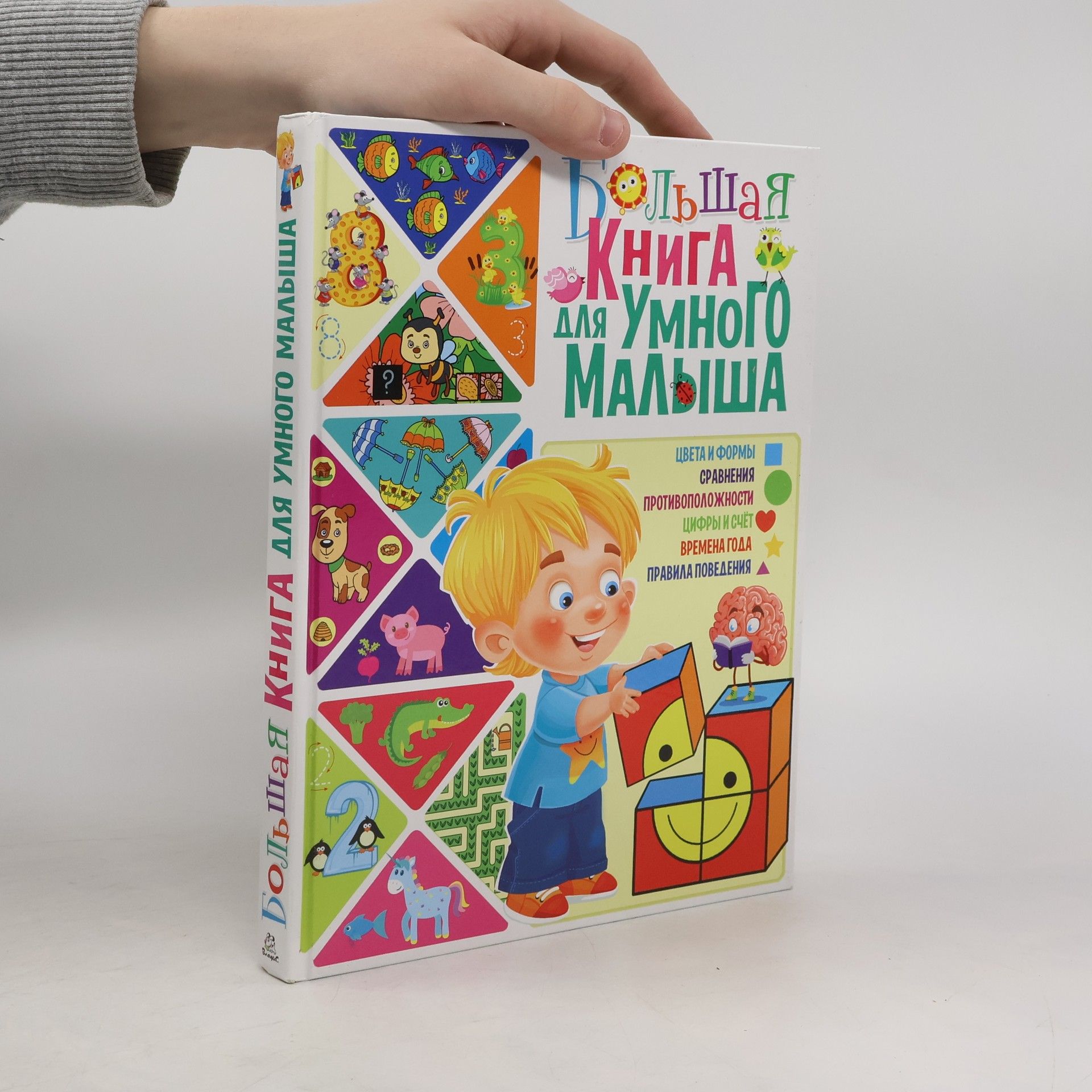 Тамара Викторовна Скиба Большая книга для умного малыша