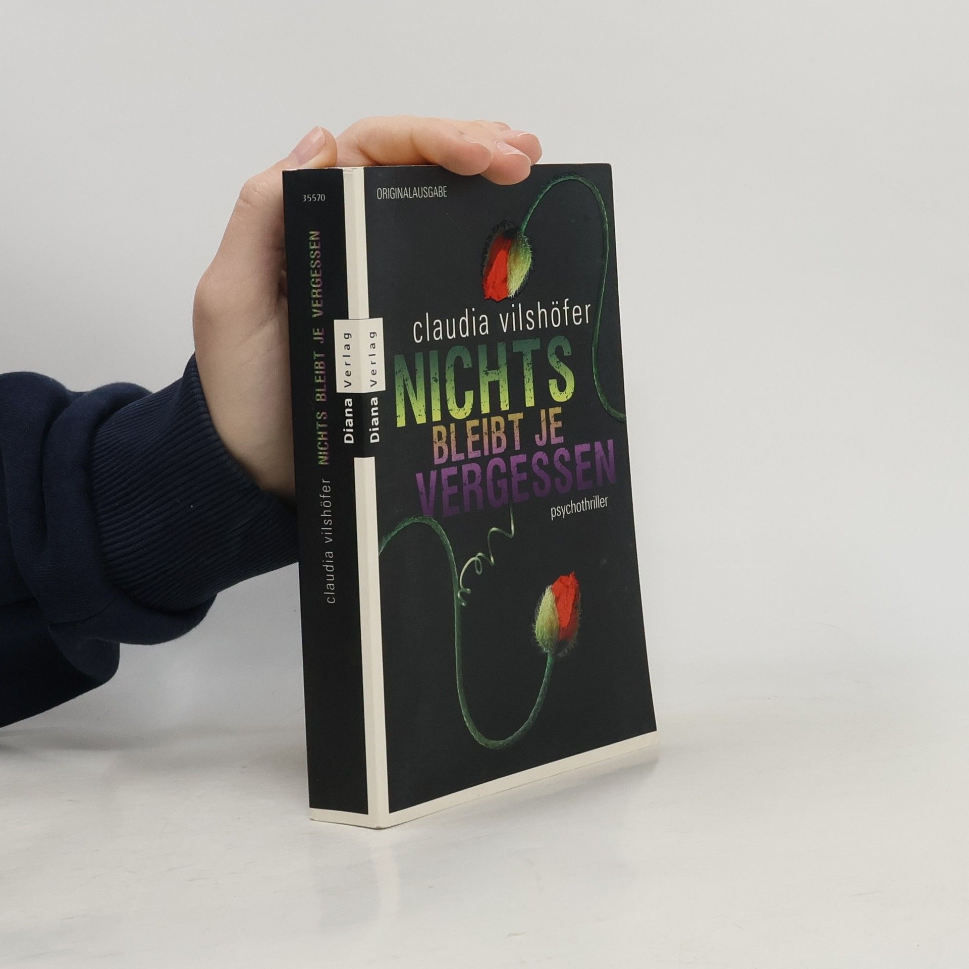 Claudia Vilshöfer Nichts bleibt je vergessen