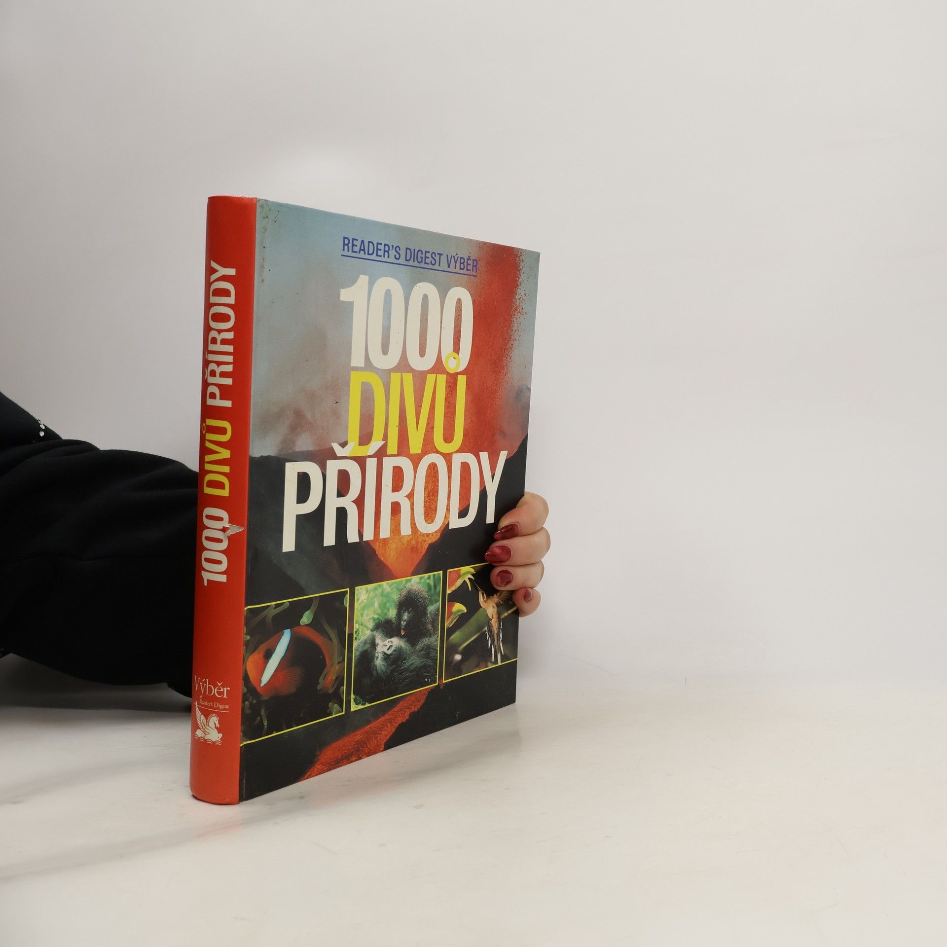 Autorenkollektiv 1000 divů přírody